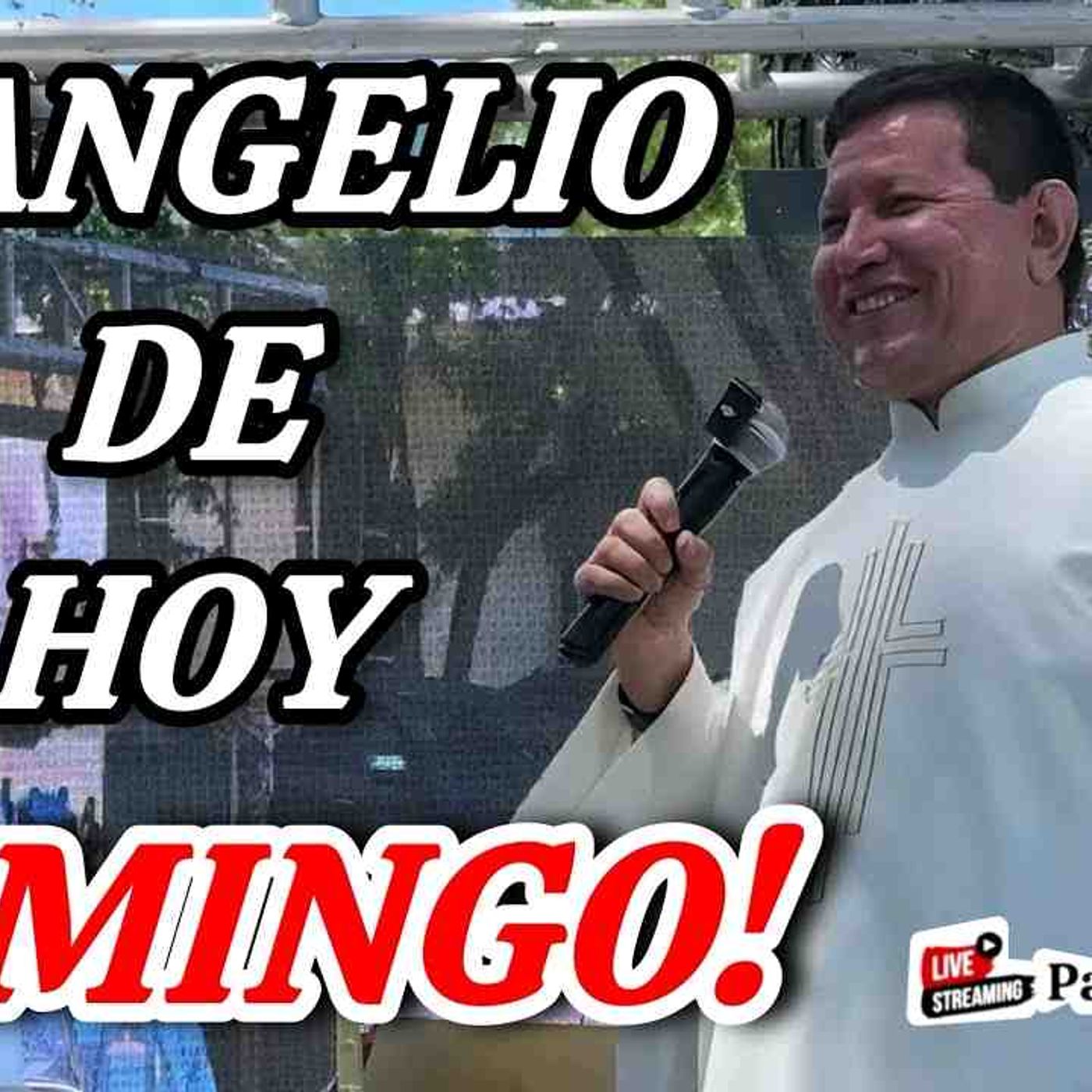 61-26_ CRISTO El Camino_ La Verdad y La Vida desde SEARCY_ ARKANSAS_ USA_ PADRE LUIS TORO episode artwork