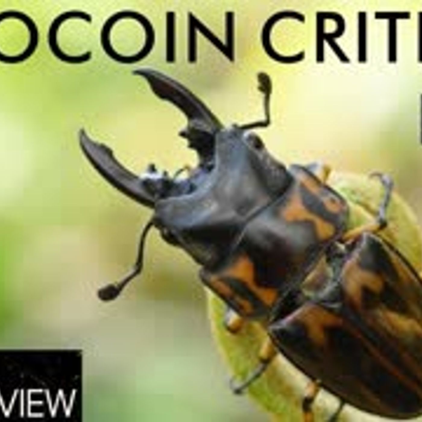 cover of episode Zerocoin Critical Flaw Explained With Reuben of Zcoin Crypto