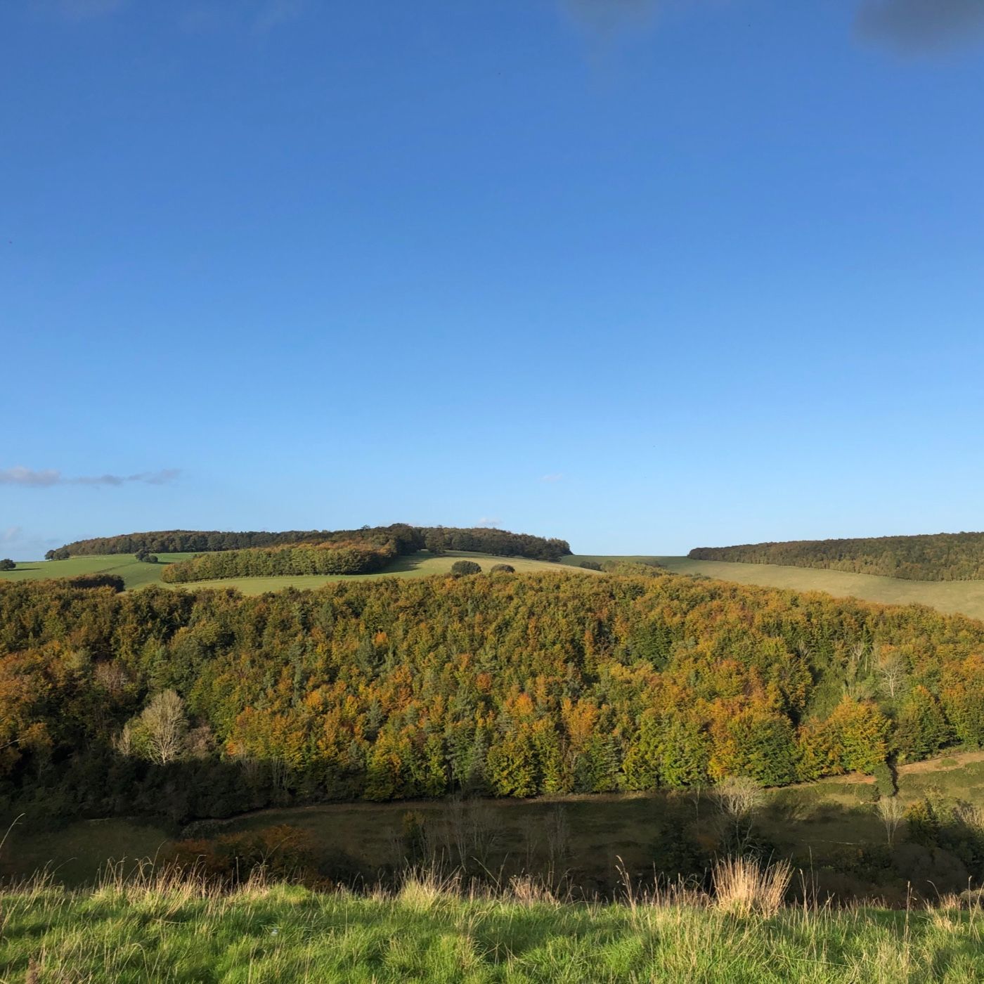 Two Peas In A Podcast