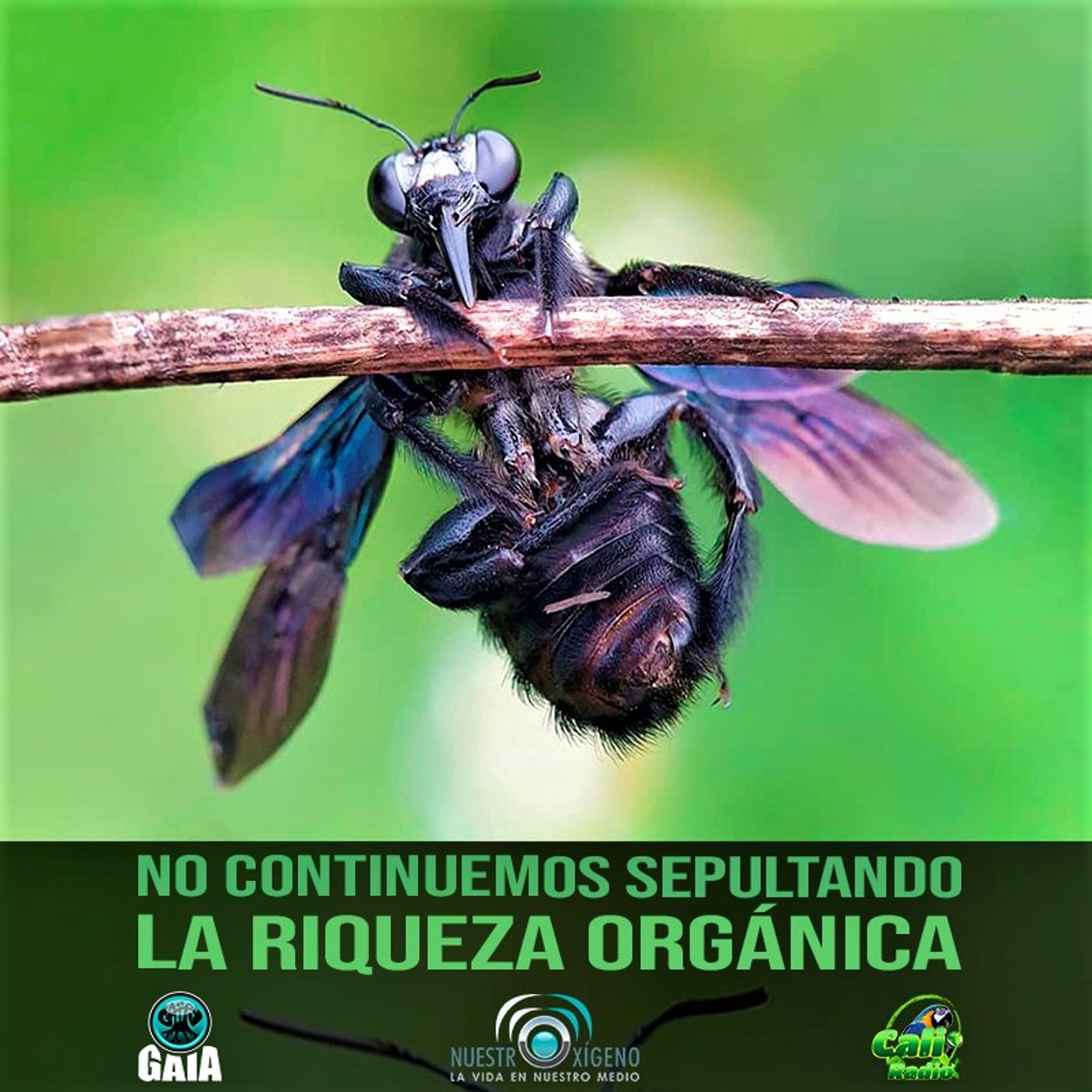 2022 Nuestro Oxigeno 05- Mayo