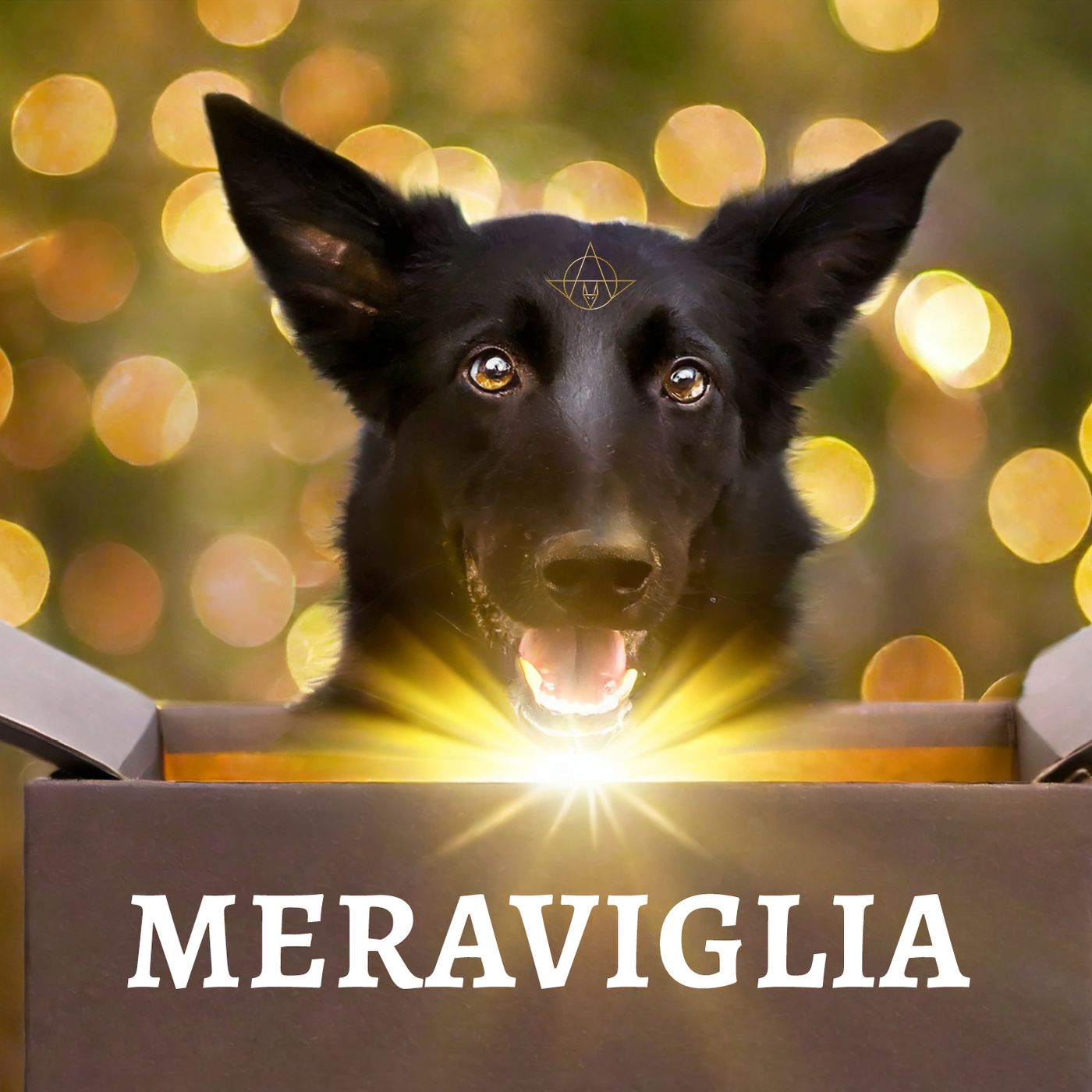 L'Anubistica Meraviglia episode artwork