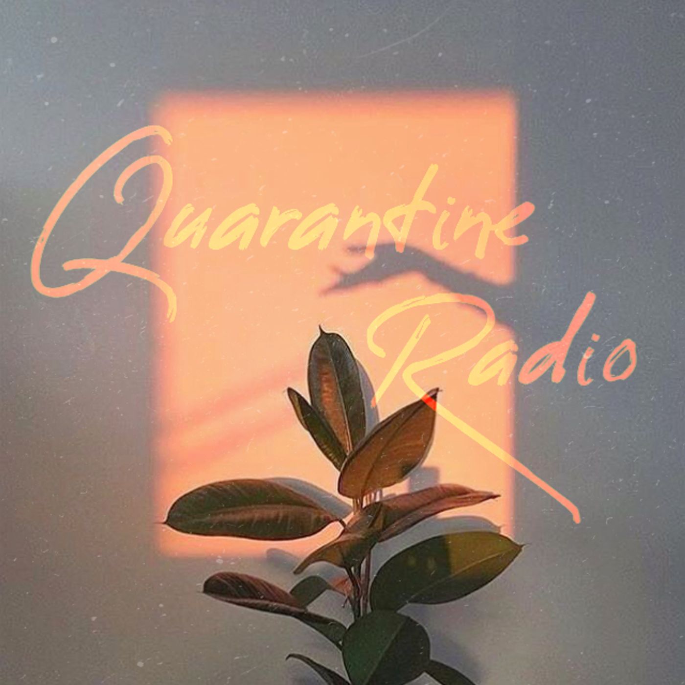 Quarantine Radio podcast artwork