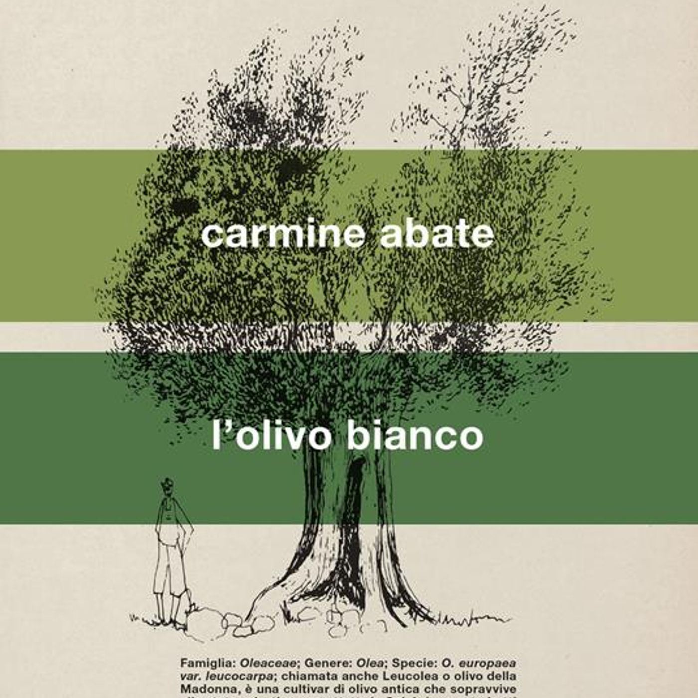 il posto delle parole