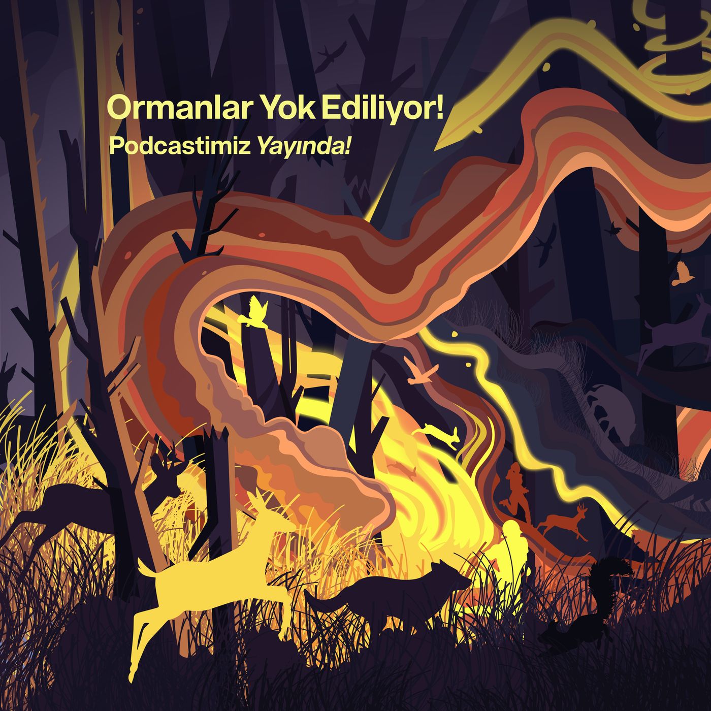 Ormanlar Yok Ediliyor! episode artwork
