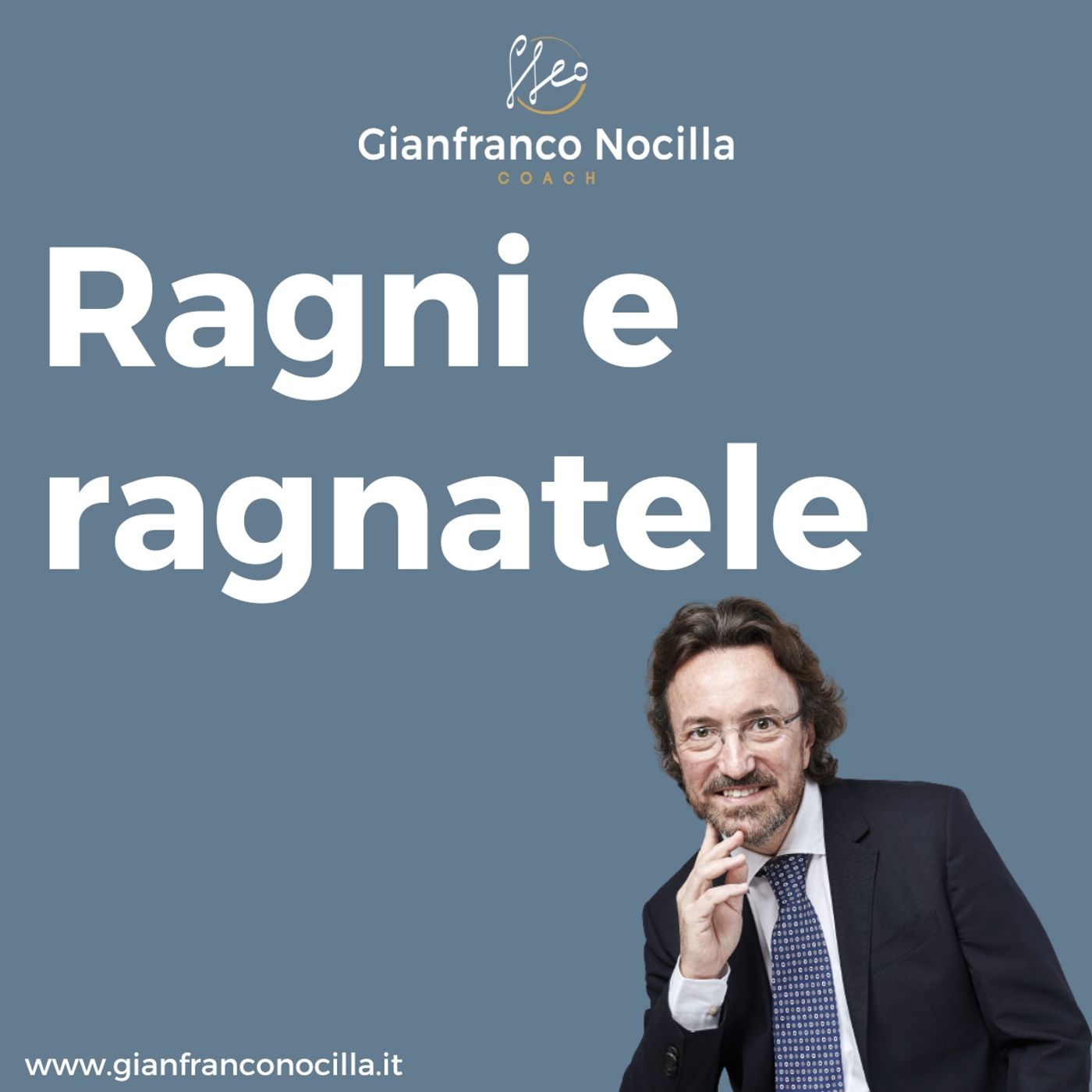 Ragni e ragnatele episode artwork