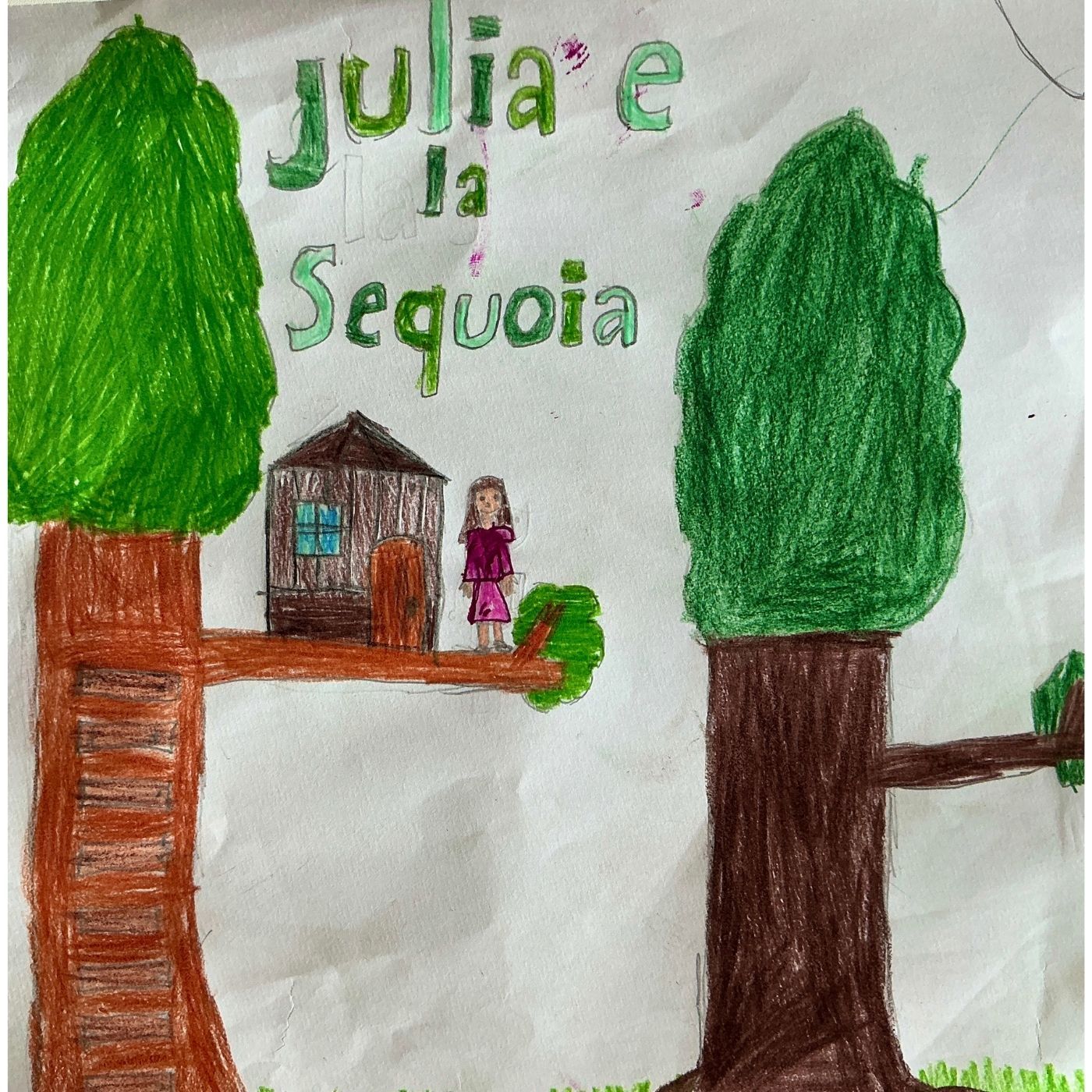 Onde di storie 2. Julia e la sequoia episode artwork