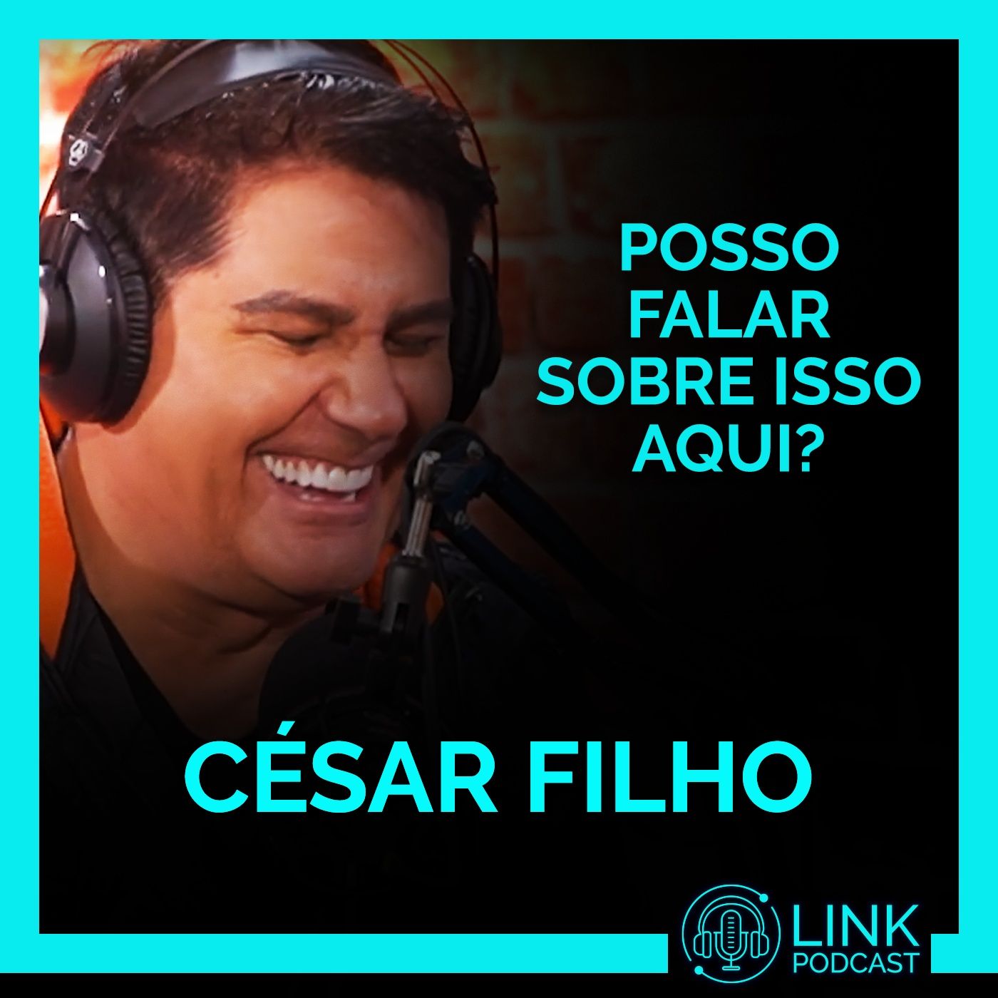 Link Podcast