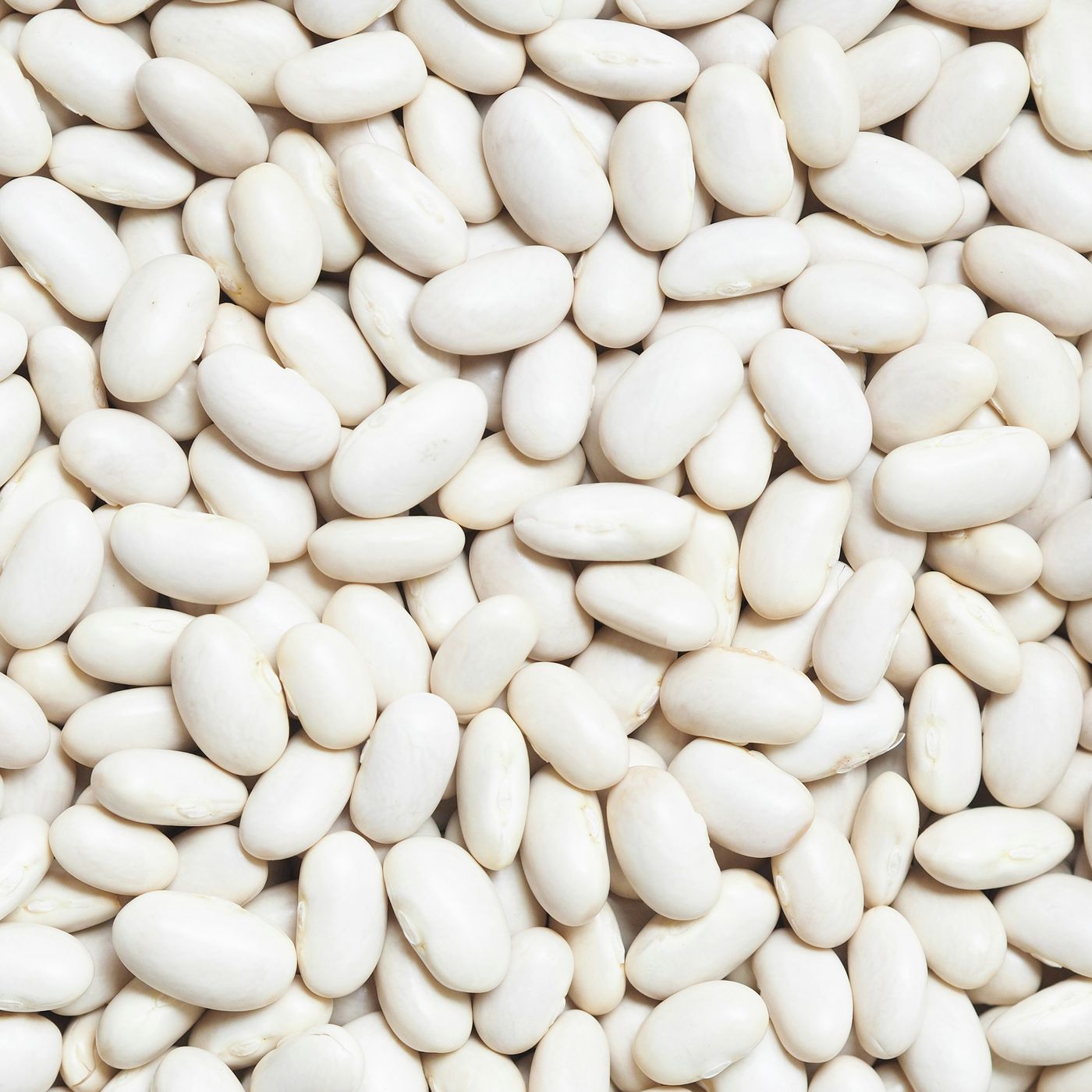 Polish-style beans in tomato sauce