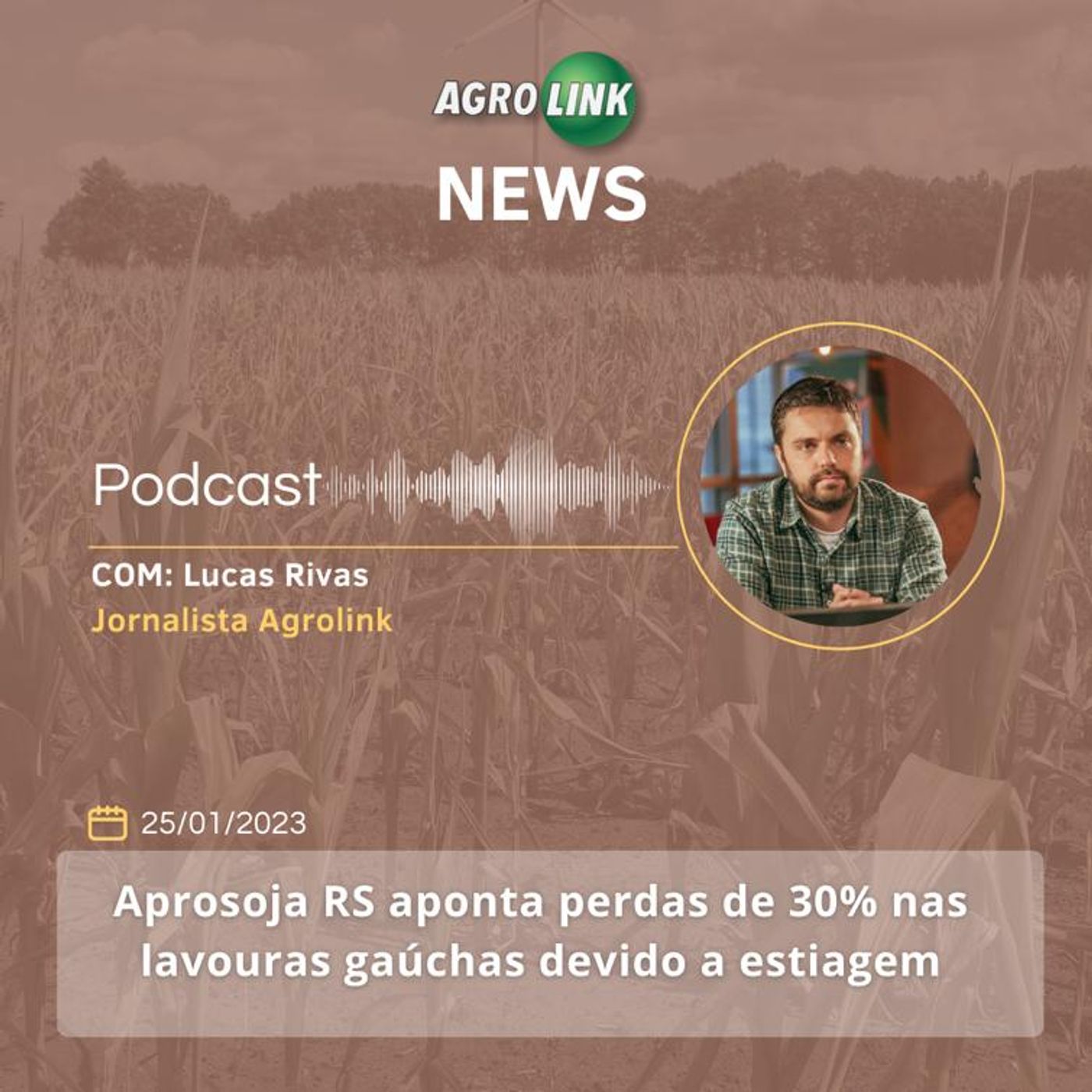Estados Unidos prevê que exportações de carne bovina do Brasil devem superar média global