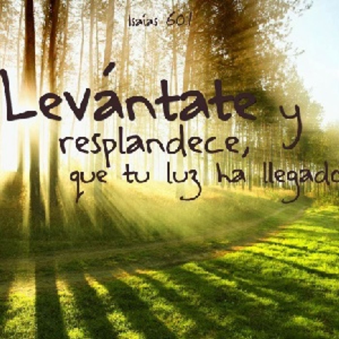Levantate Y Resplandece