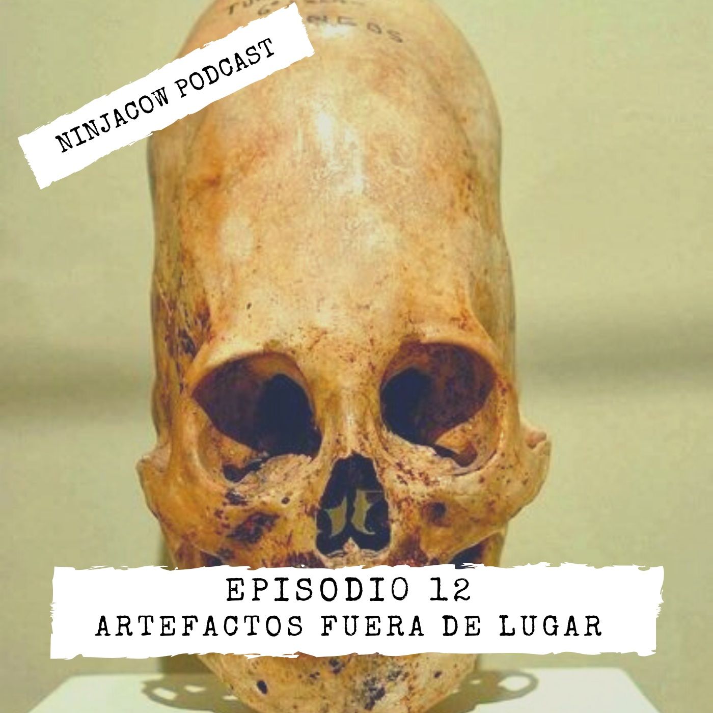 Ninjacow Podcast
