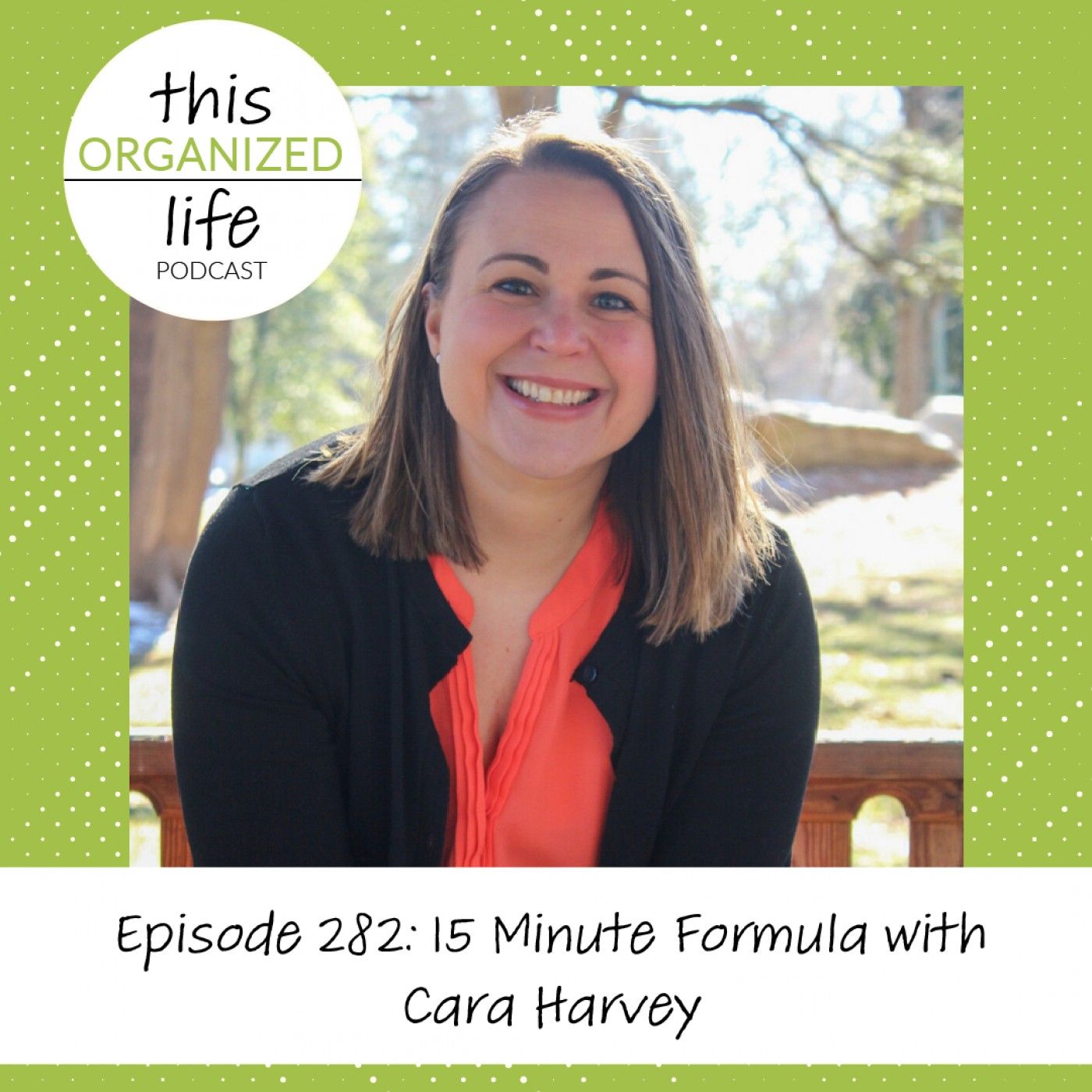 Ep 282: 15 Minute Formula with Cara Harvey