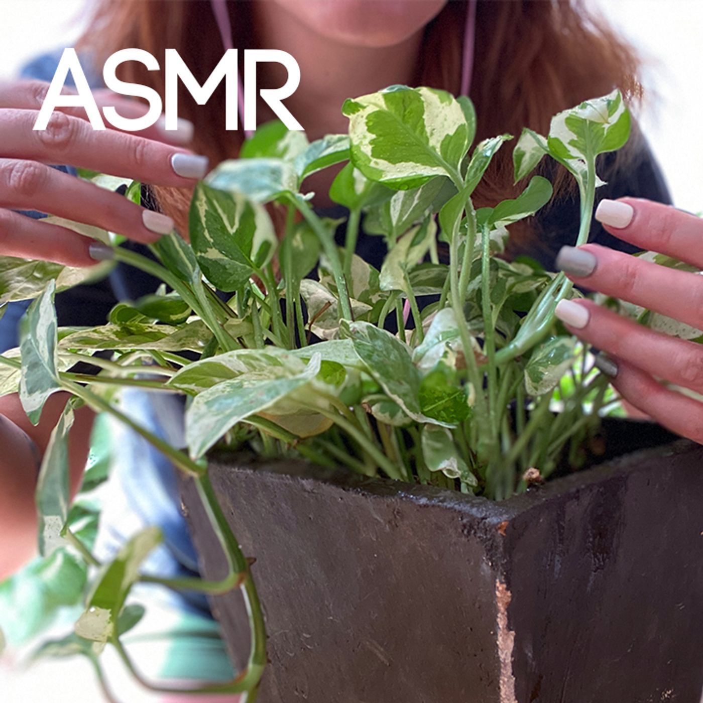 Mar ASMR