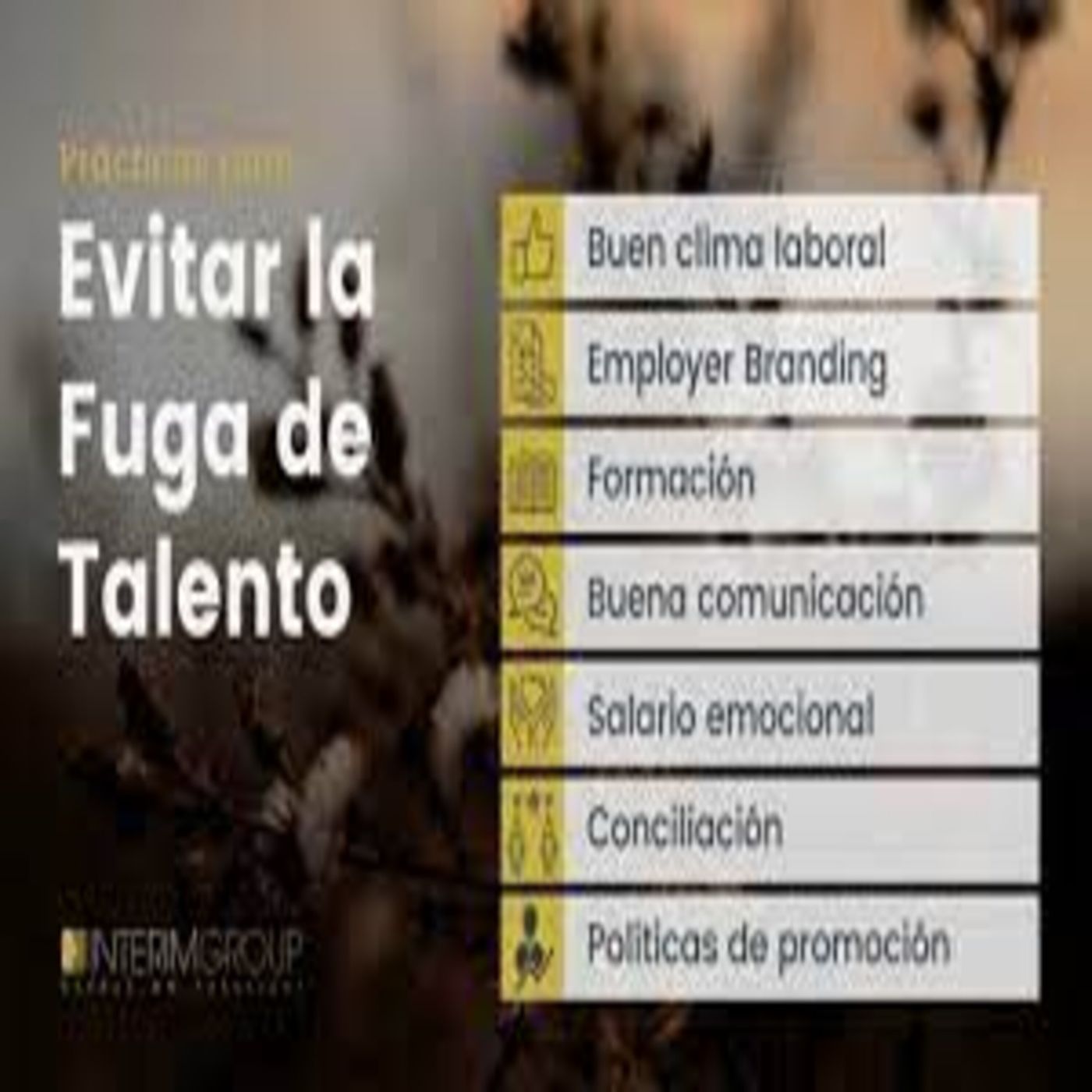 E2 2 ESTRATEGIAS PARA MITIGAR LA FUGA DE TALENTO, Y 1 TIP PARA RECLUTAR TALENTO COMPETENTE episode artwork