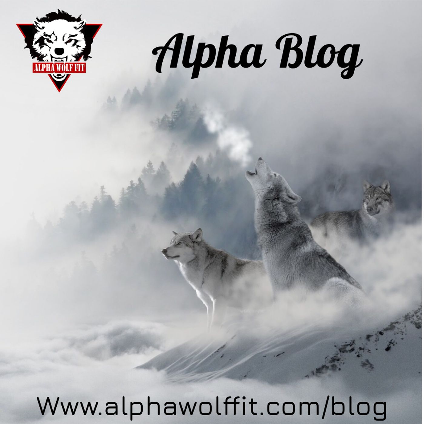 Alpha Wolf Fit Audio experience