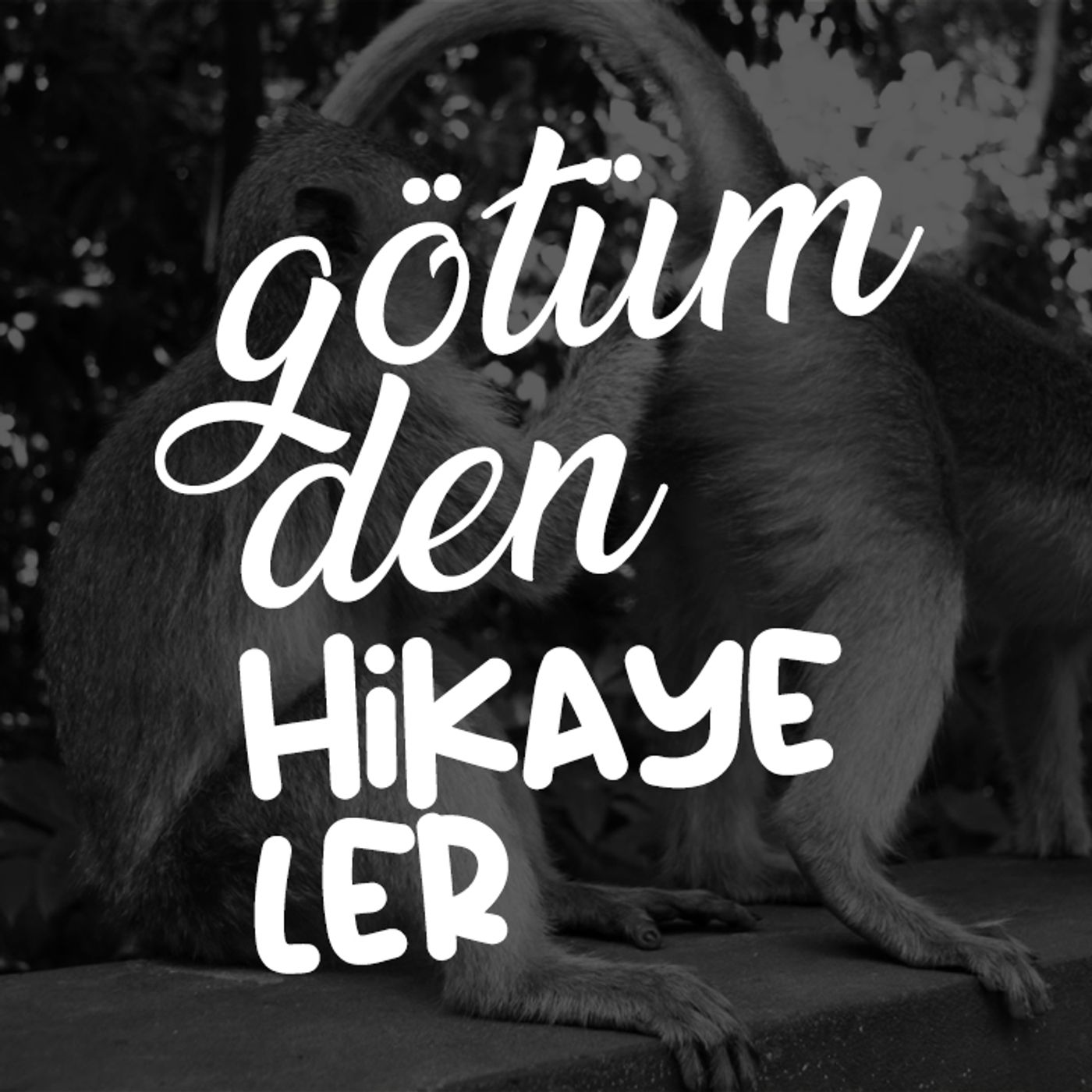 götümden hikayeler cover art