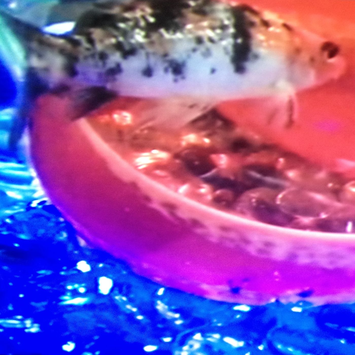 BB17: Fish fingered episode artwork