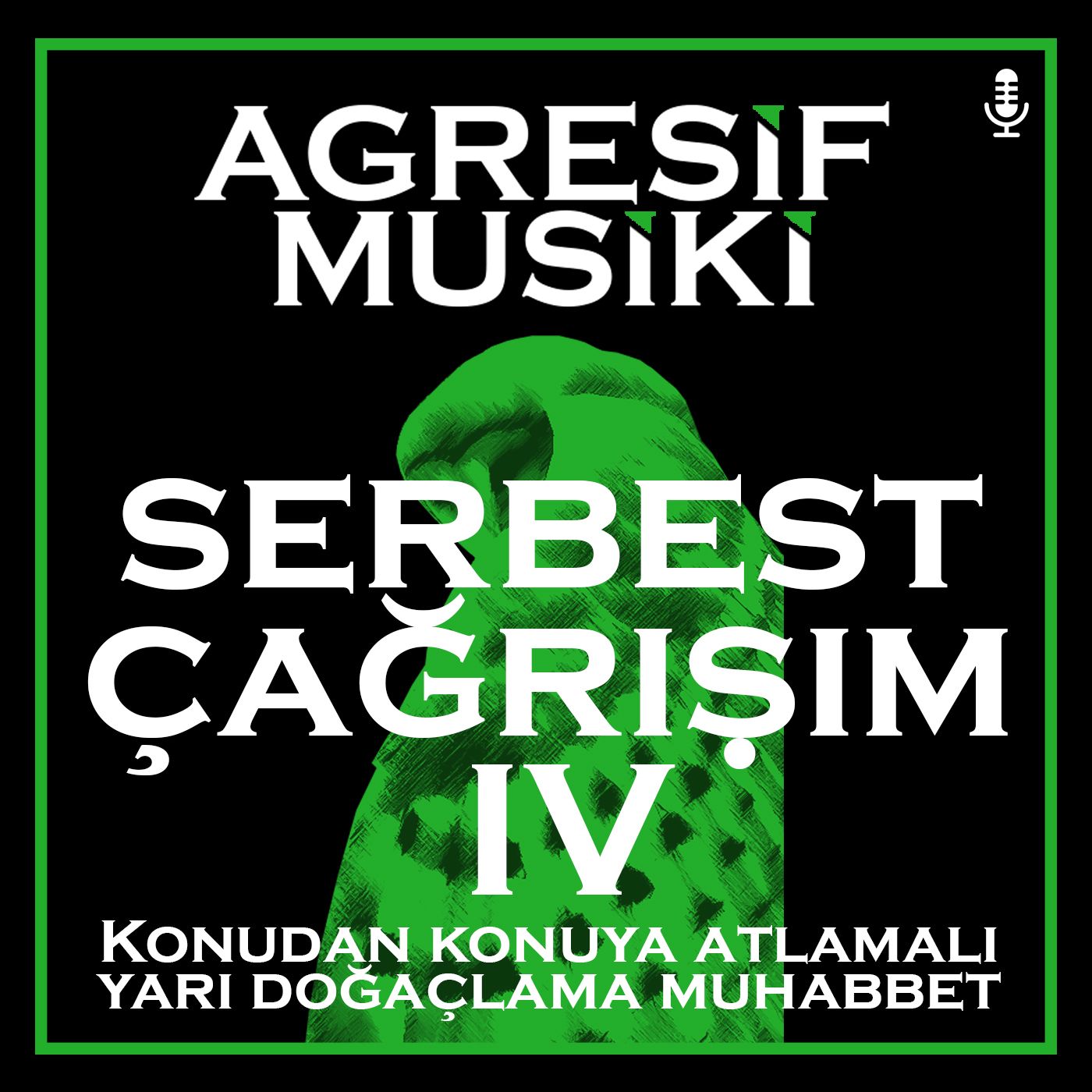 Agresif Musiki