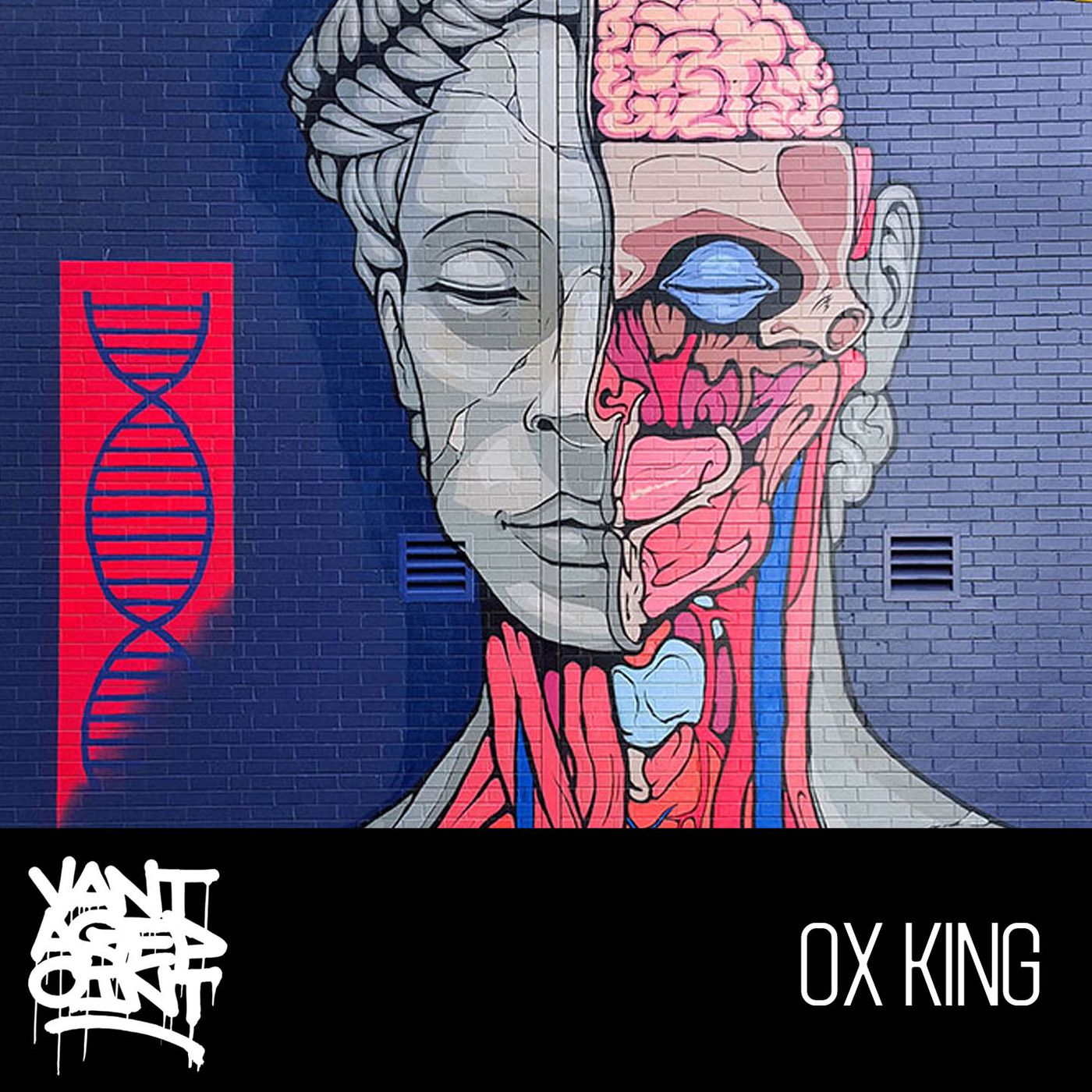 EP133 - OXKING