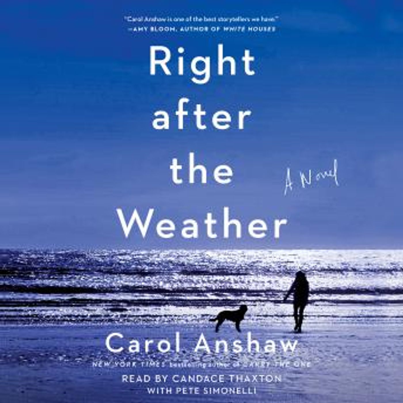Stream Popular Full Audiobooks in Fiction, Drama
