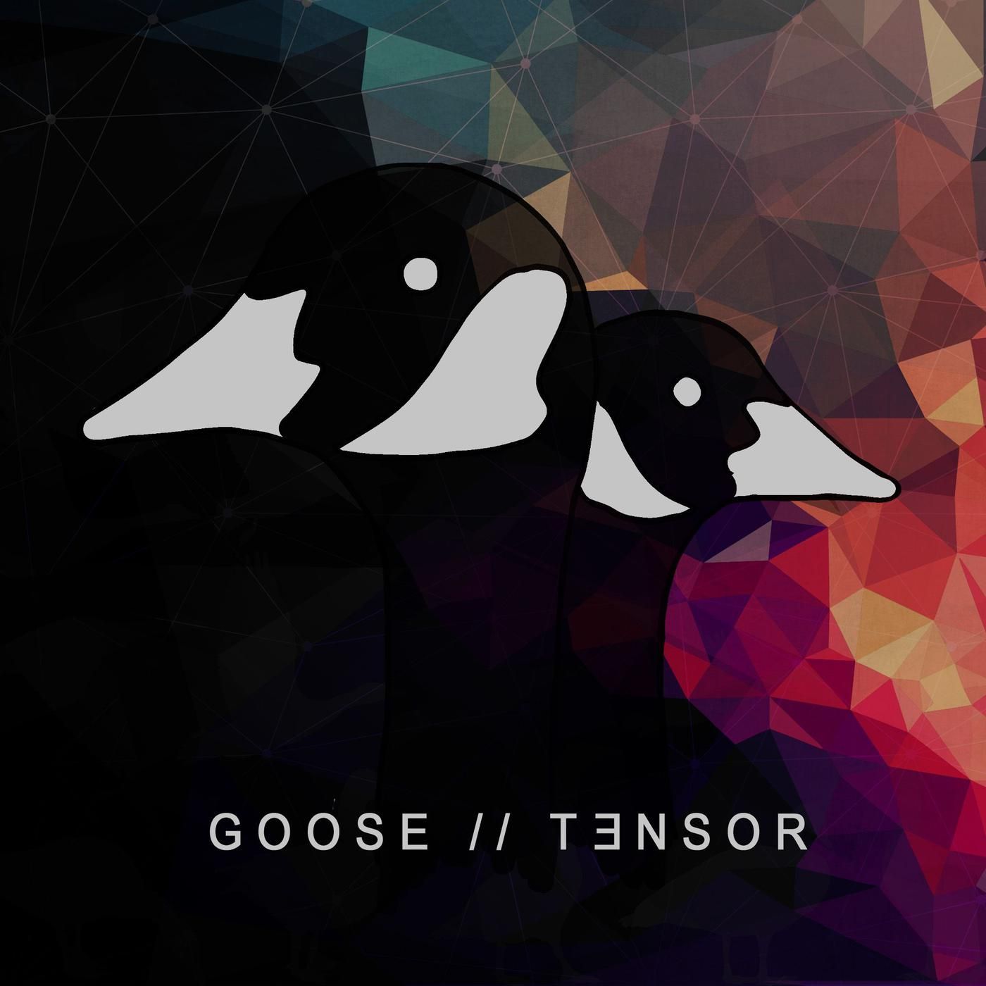 41/k20 Goose Tensor 41/k20 Goose Tensor
