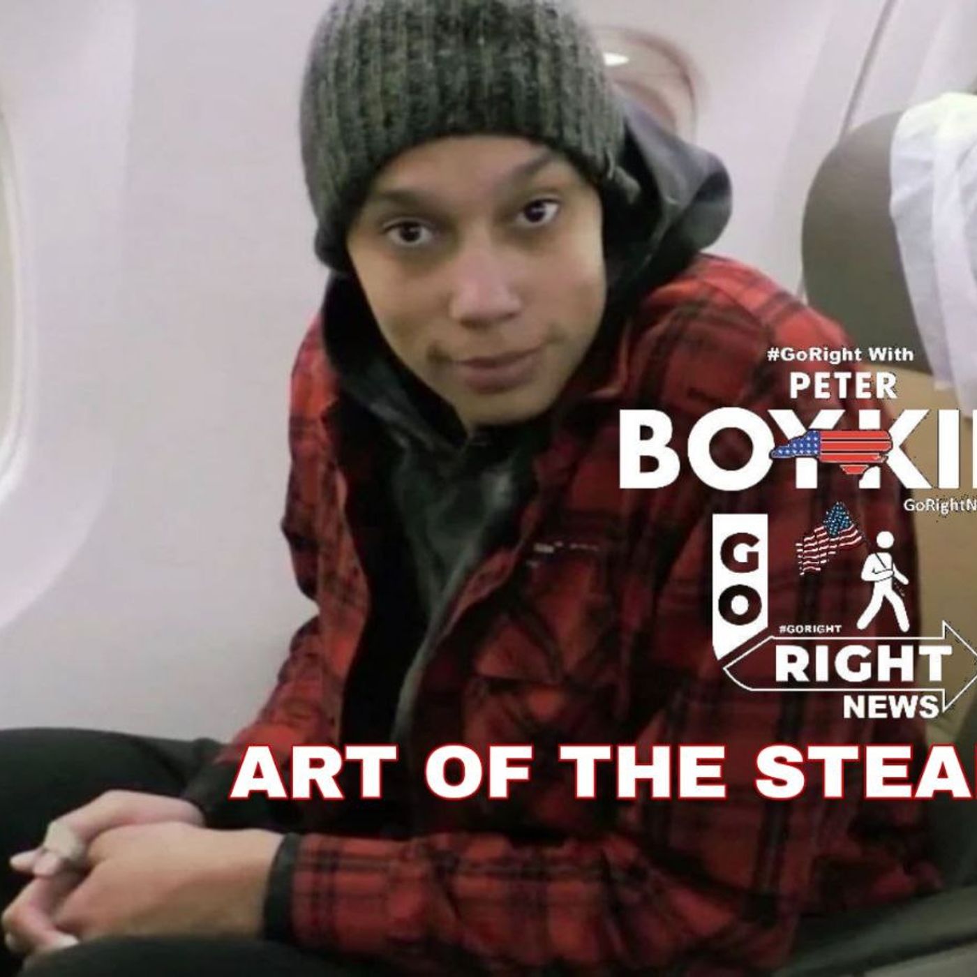 ART OF THE STEAL