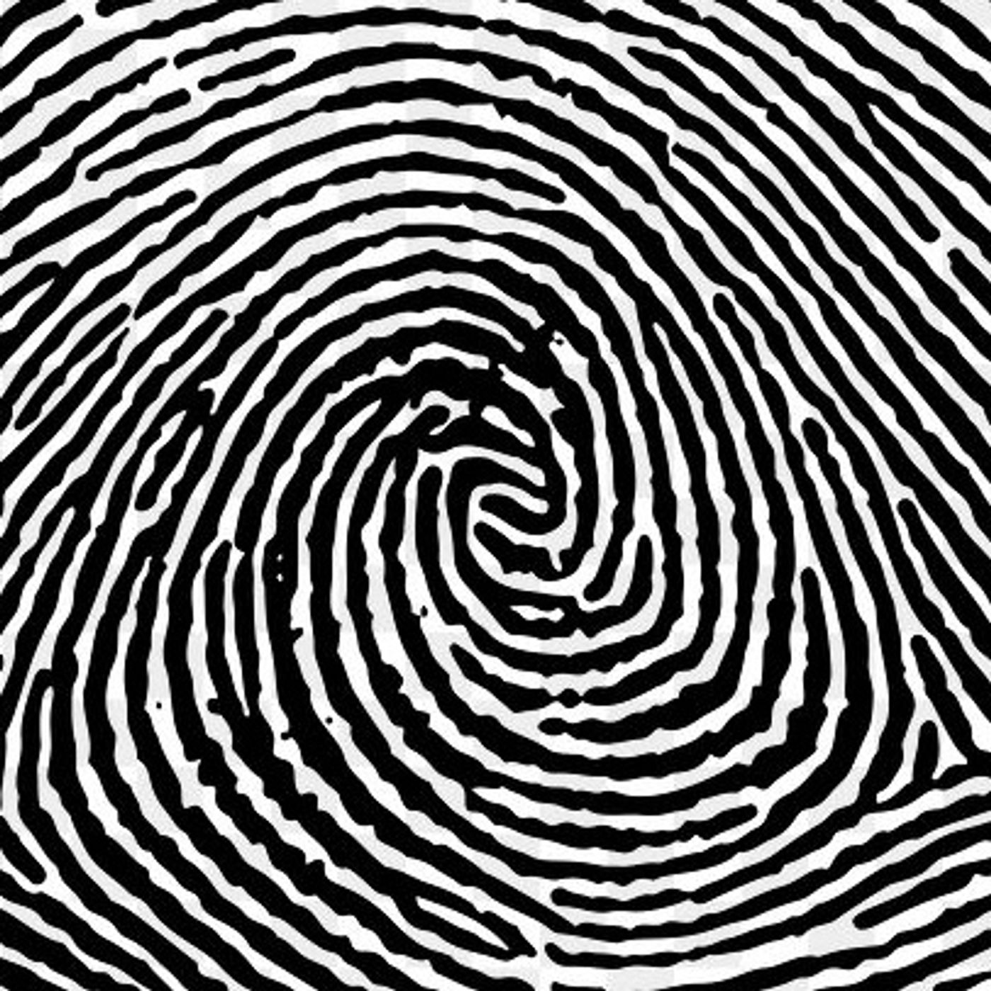 Rob McConnell Interviews - PAUL RIMMASCH - Finger Prints and Phantoms