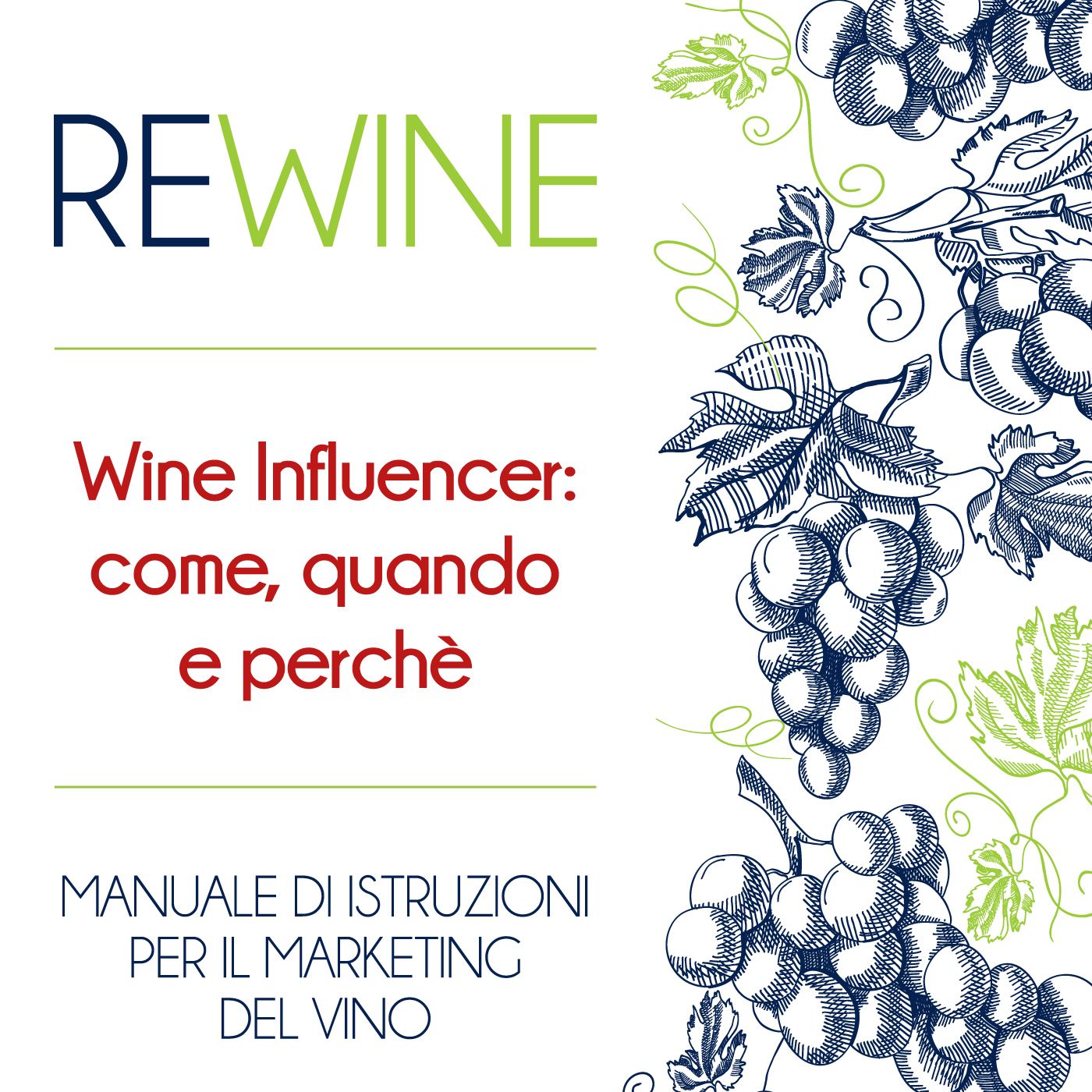 ReWine- Manuale di Marketing del vino
