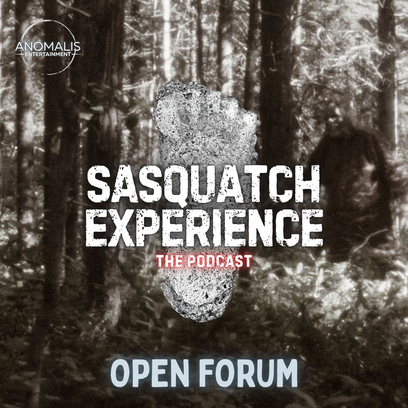 Sasquatch Experience