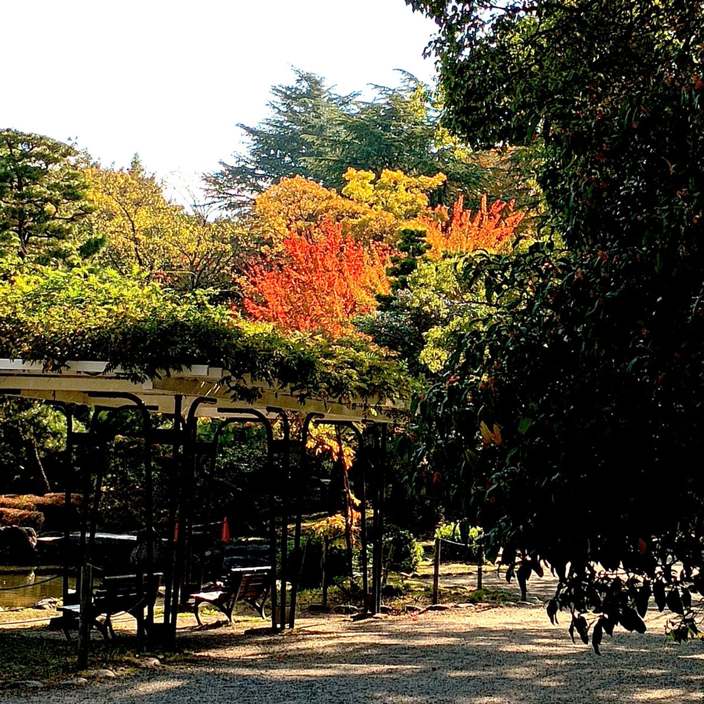 Helping Community or Good PR? Probably both?