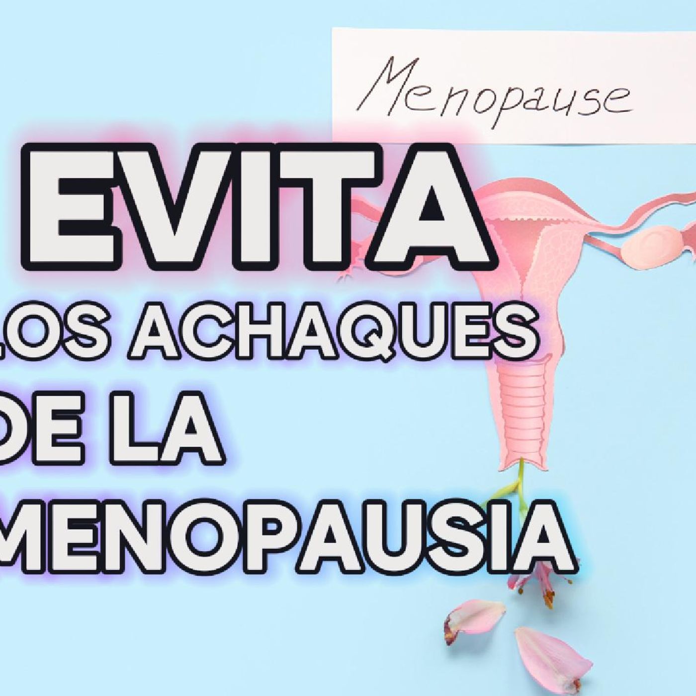 Los Achaques en la Menopausia