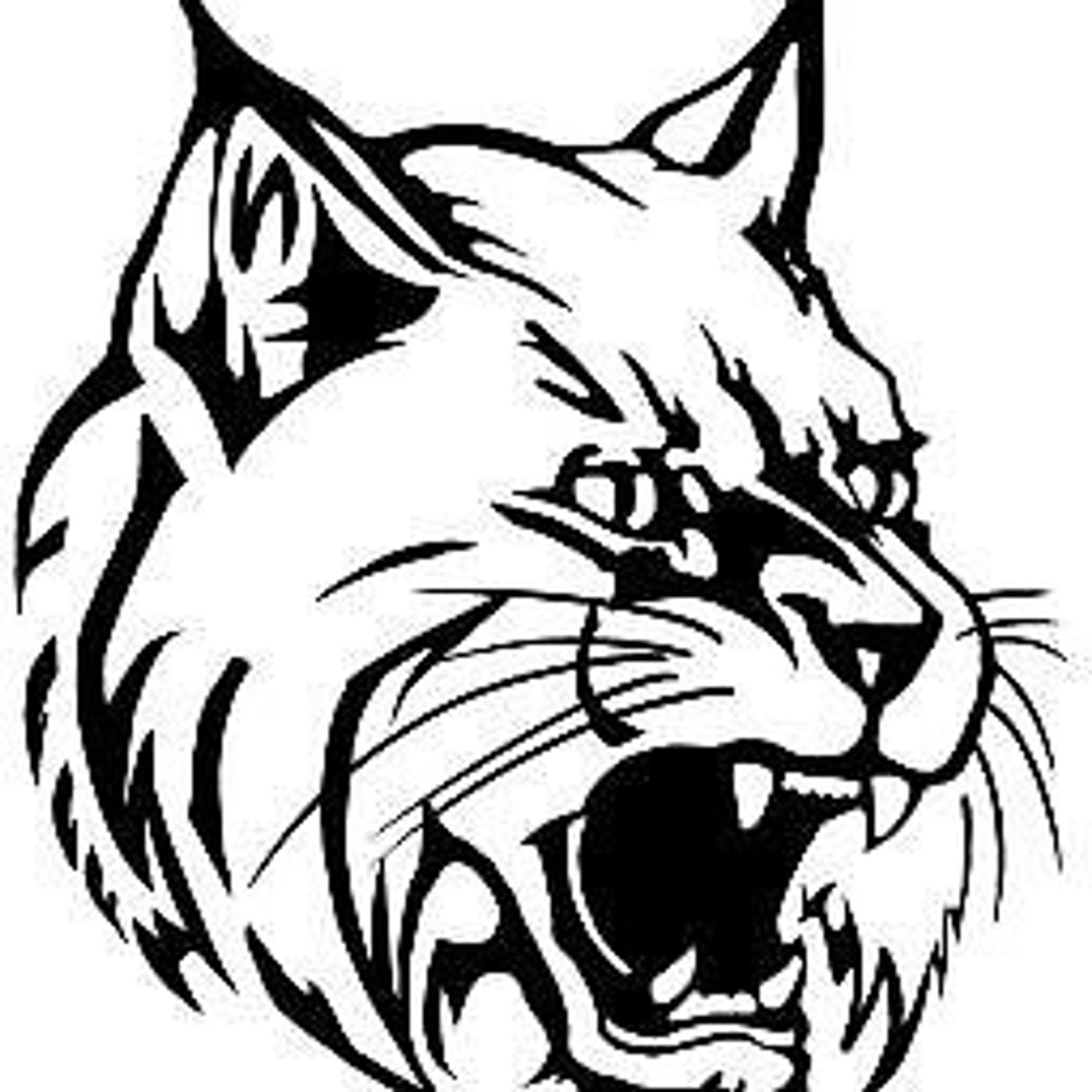 West Chicago co-op takes swimming sectional at St. Charles East; St. Charles North second episode artwork