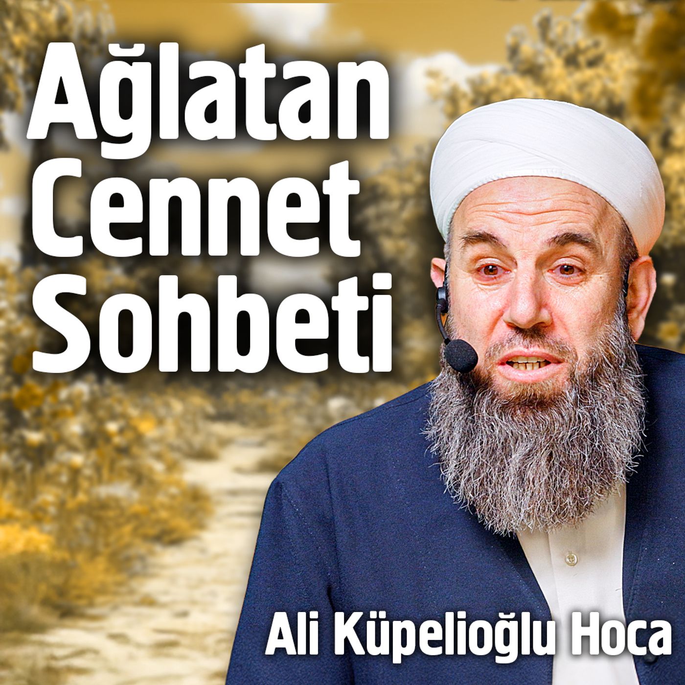 Hayalhanem