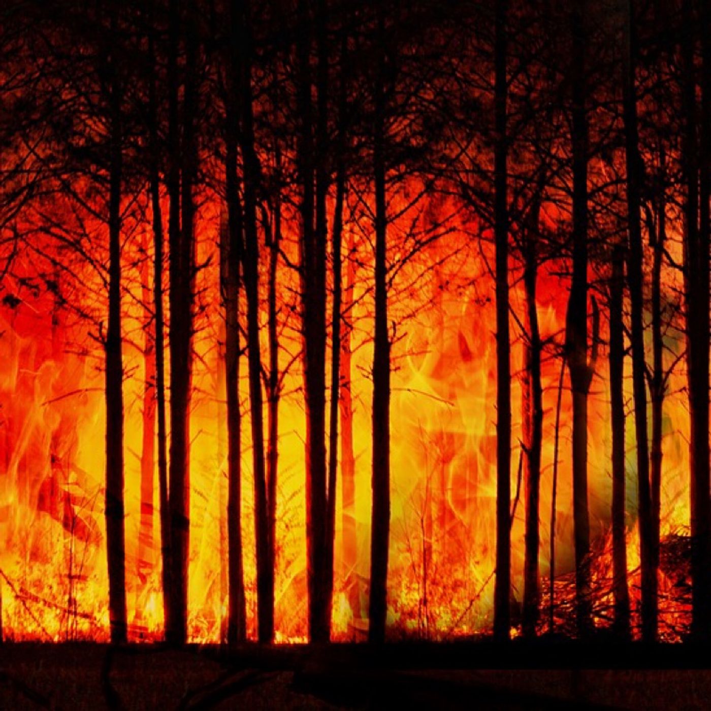 Fuochi e Fiamme