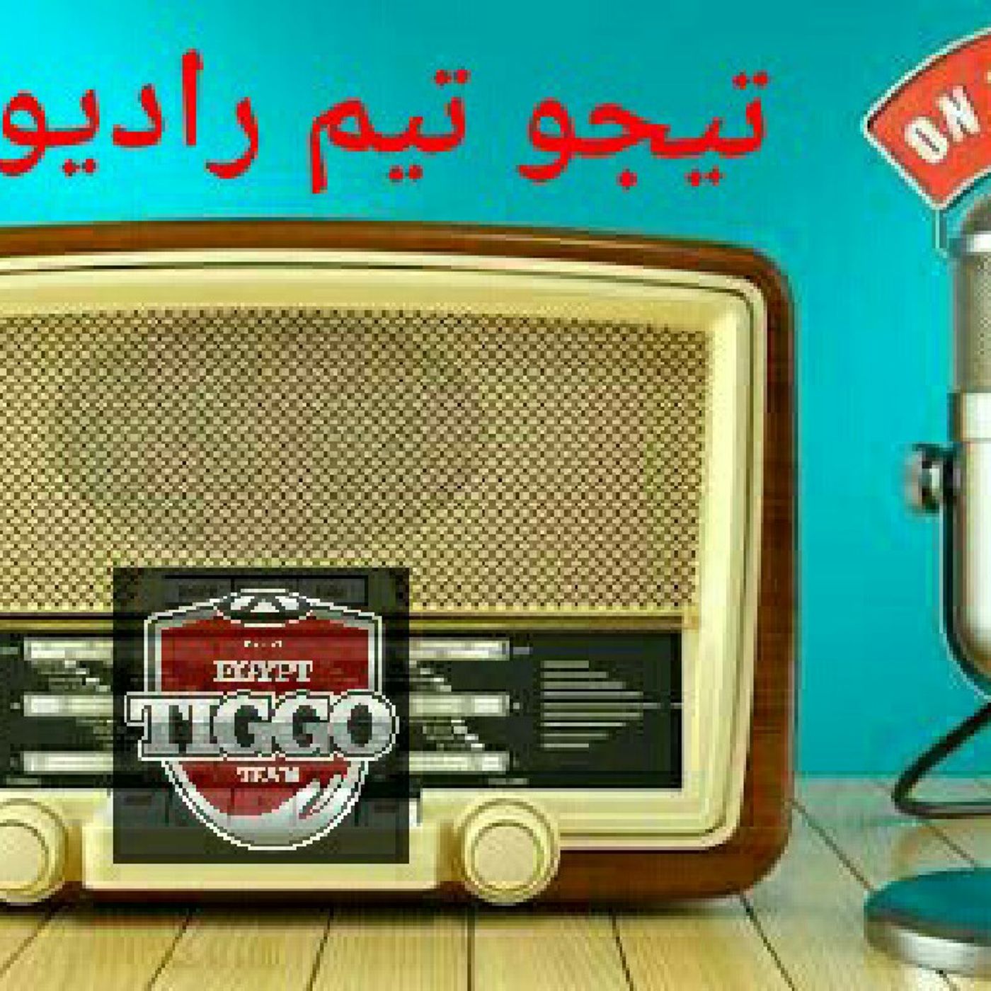 Tiggo Team's Radio