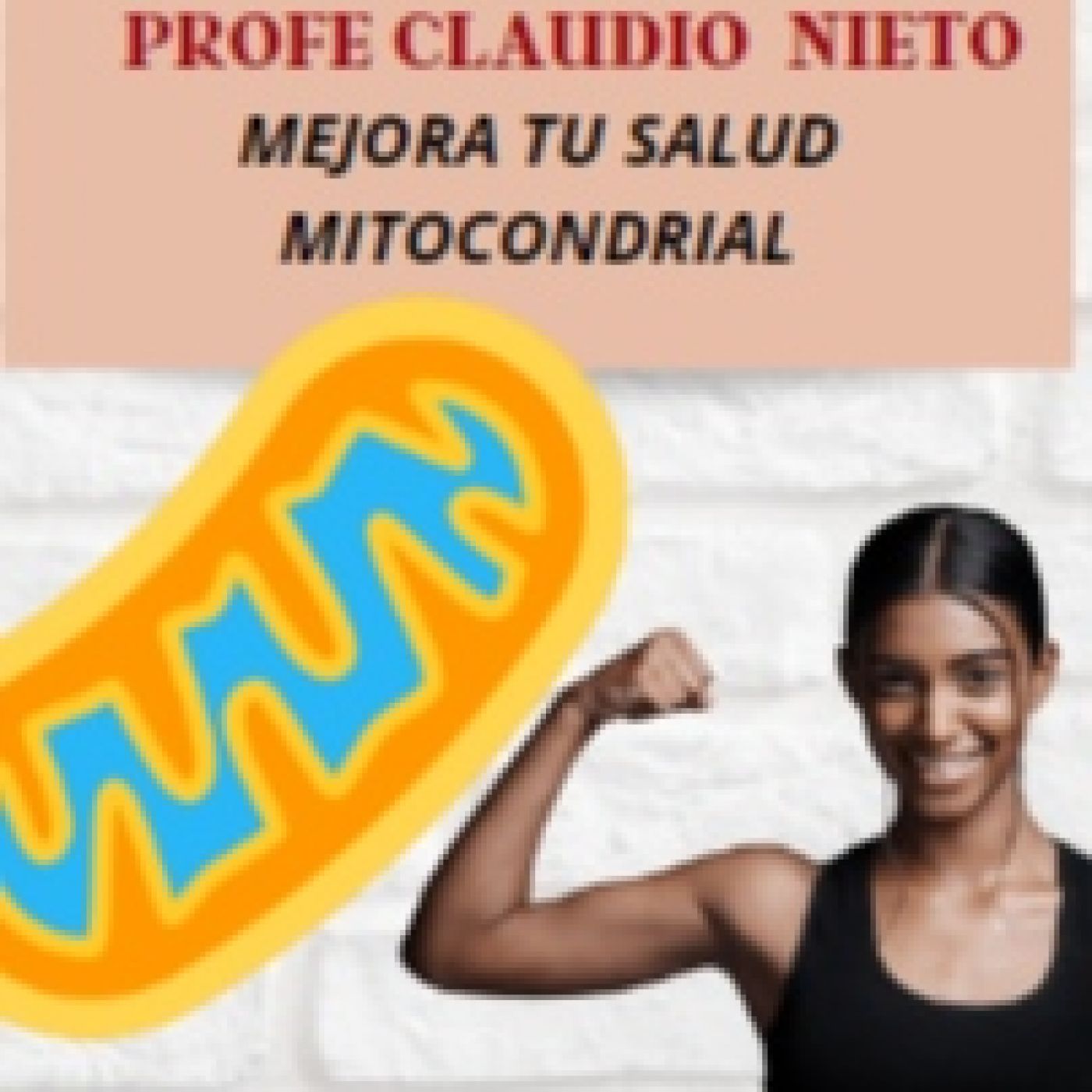 59. ¿CÓMO influye la ACTIVIDAD FÍSICA sobre la BIOGÉNESIS de las MITOCONDRIAS?