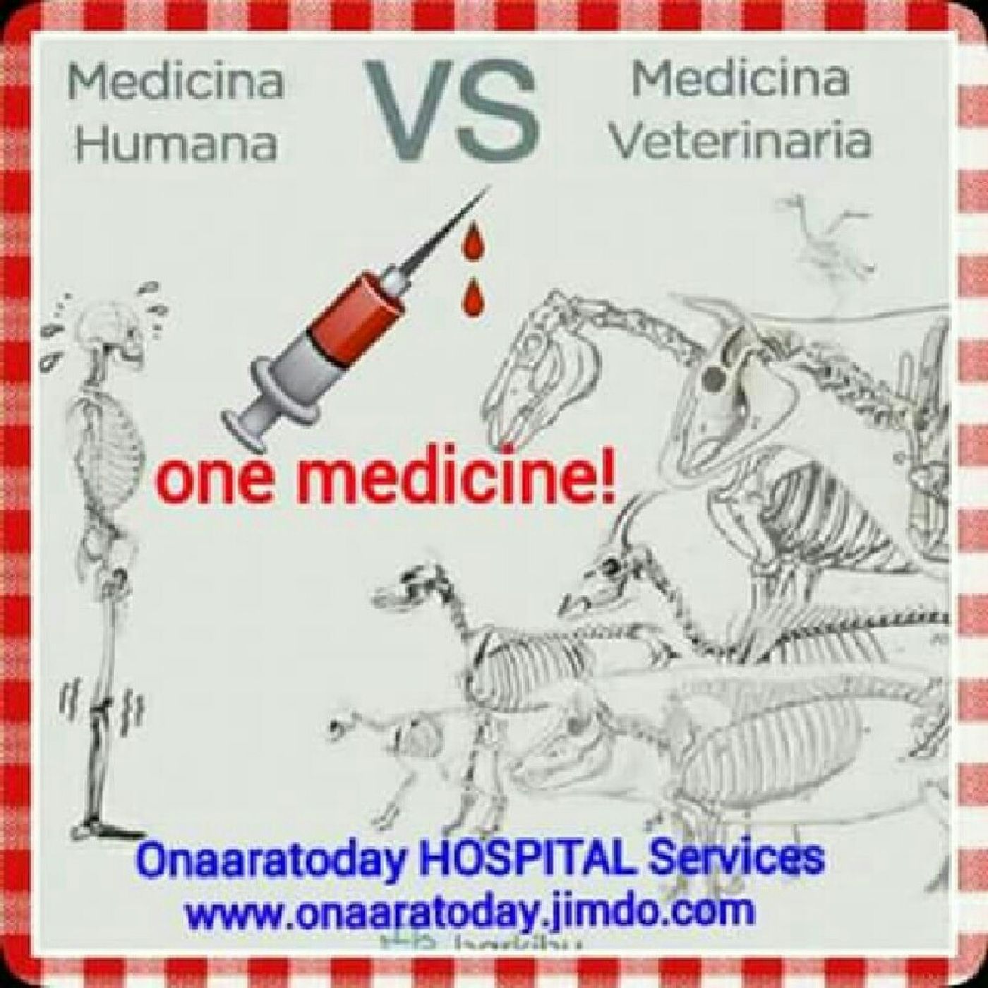 U & Your Health By Yemisi Oladipupo