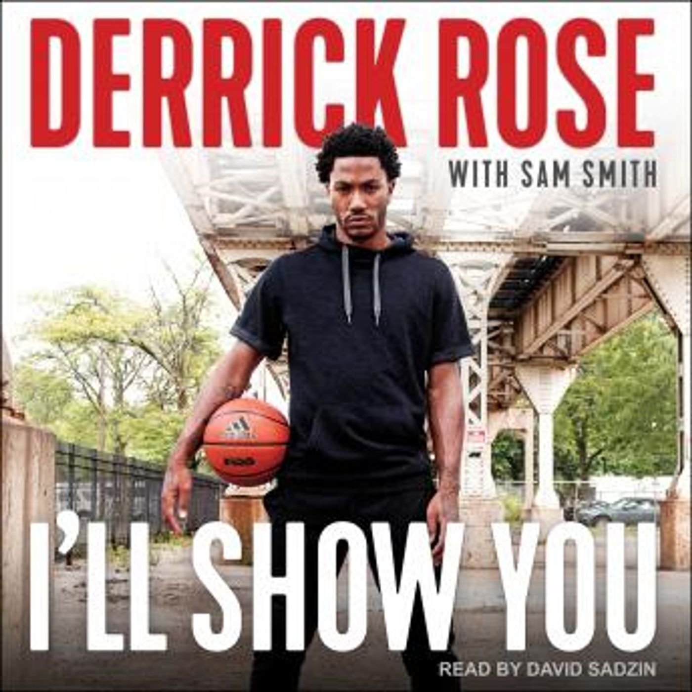 Best Full Audiobooks in Biography & Memoir, Sports