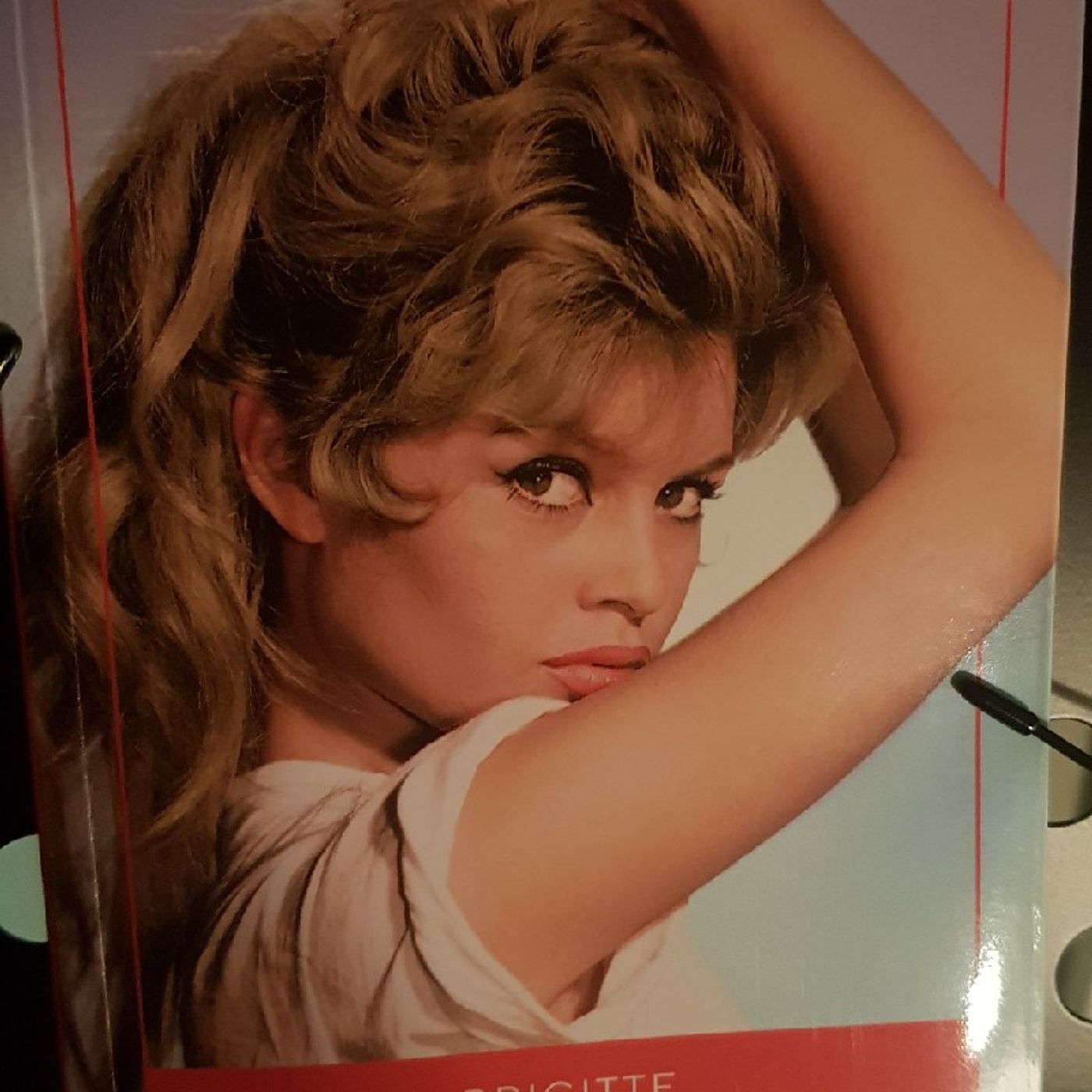 Icone : Brigitte Bardot  - BB