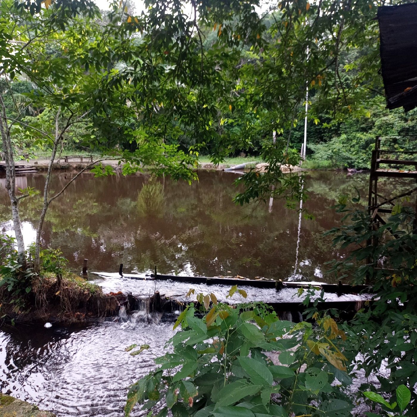 Proyect about ecotourism,question guide