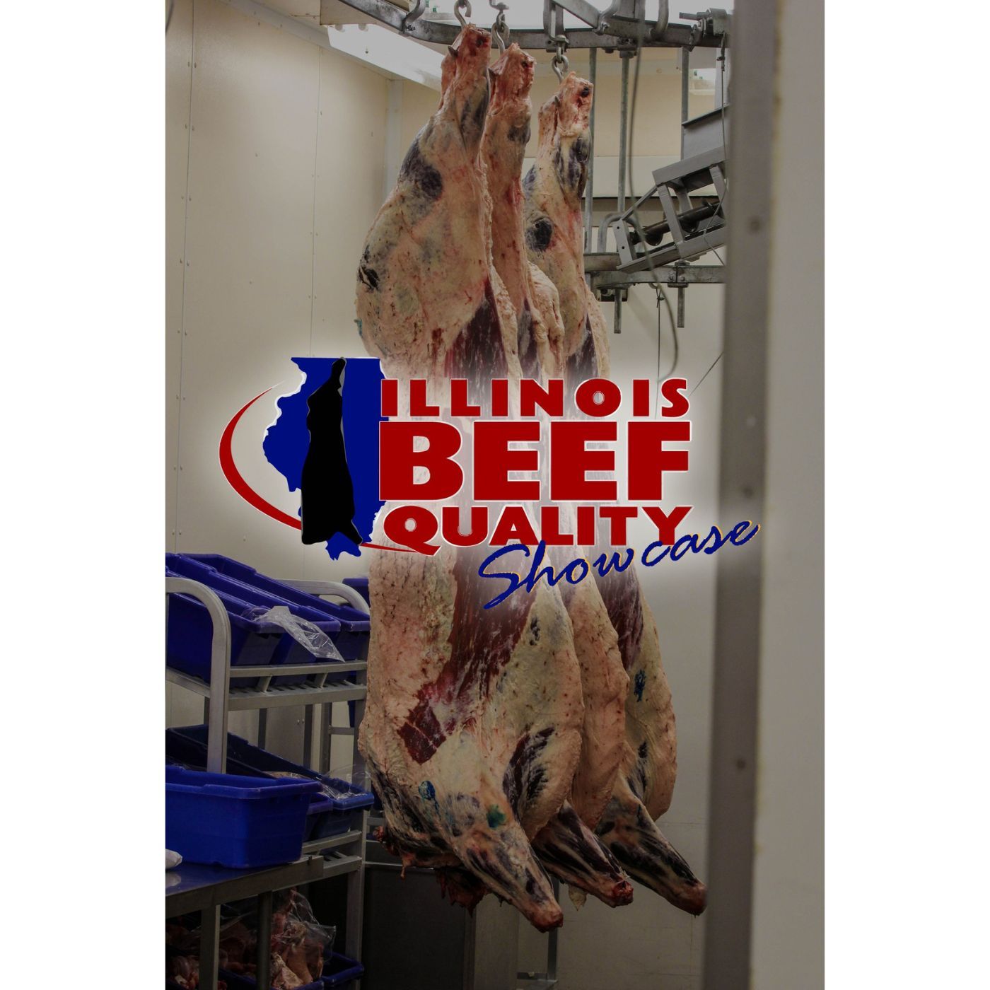 RFD Livestock Report Josh St. Peters talks Illinois Beef Association Beef Quality Showcase