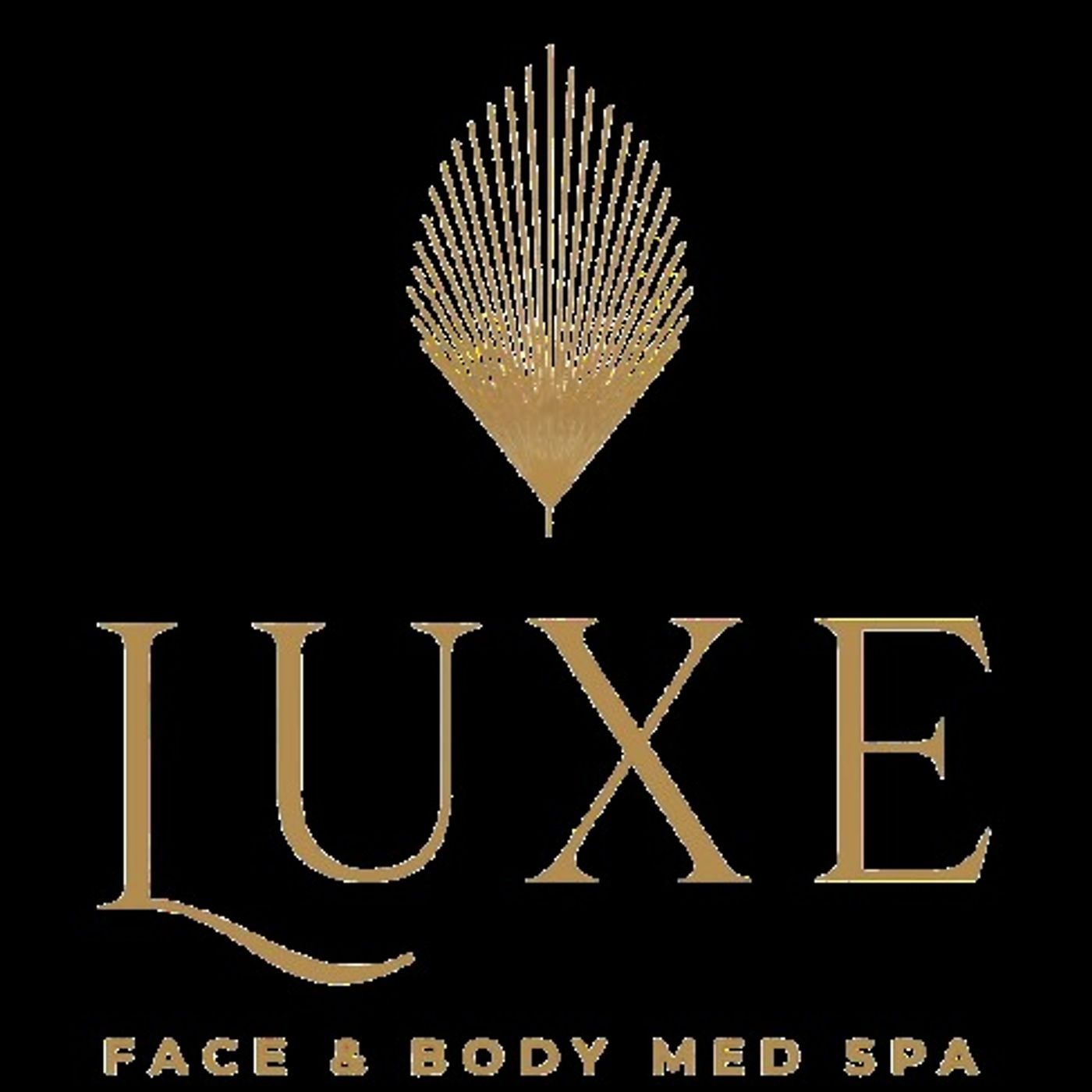 Luxe Face and Body Med Spa