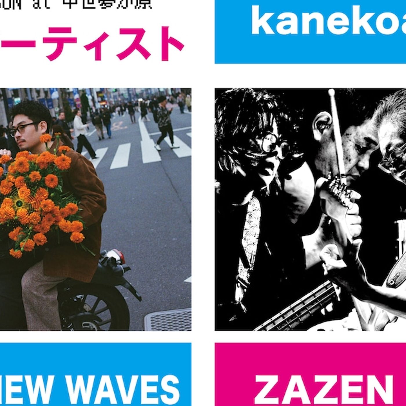 kanekoayano、YOGEE NEW WAVES、ZAZEN BOYSが岡山「STARS ON」出演 - 音楽ナタリー episode artwork