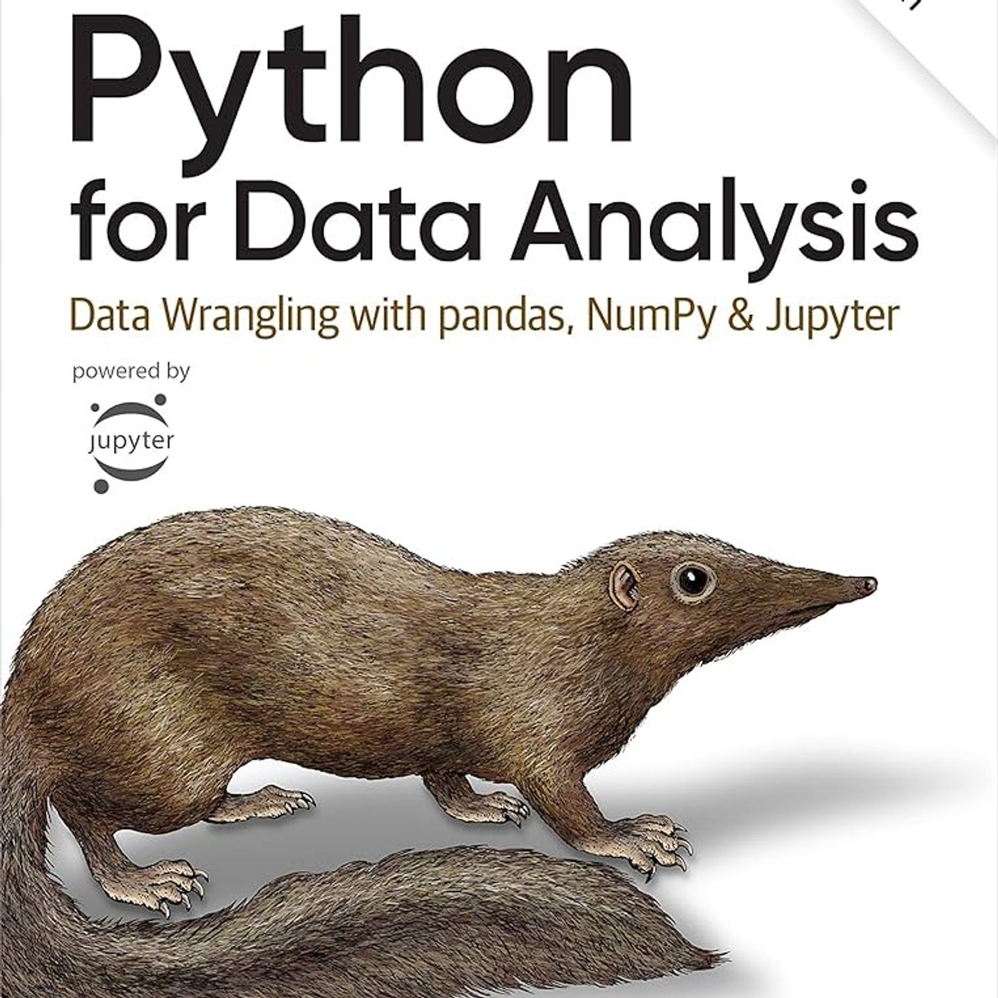 Python for Data Analysis: Data Wrangling with pandas, NumPy, and Jupyter