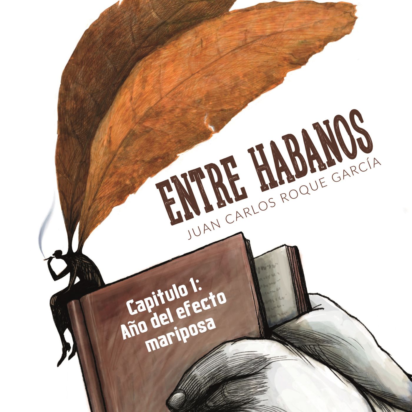 Libros de J. C. Roque García y su editorial