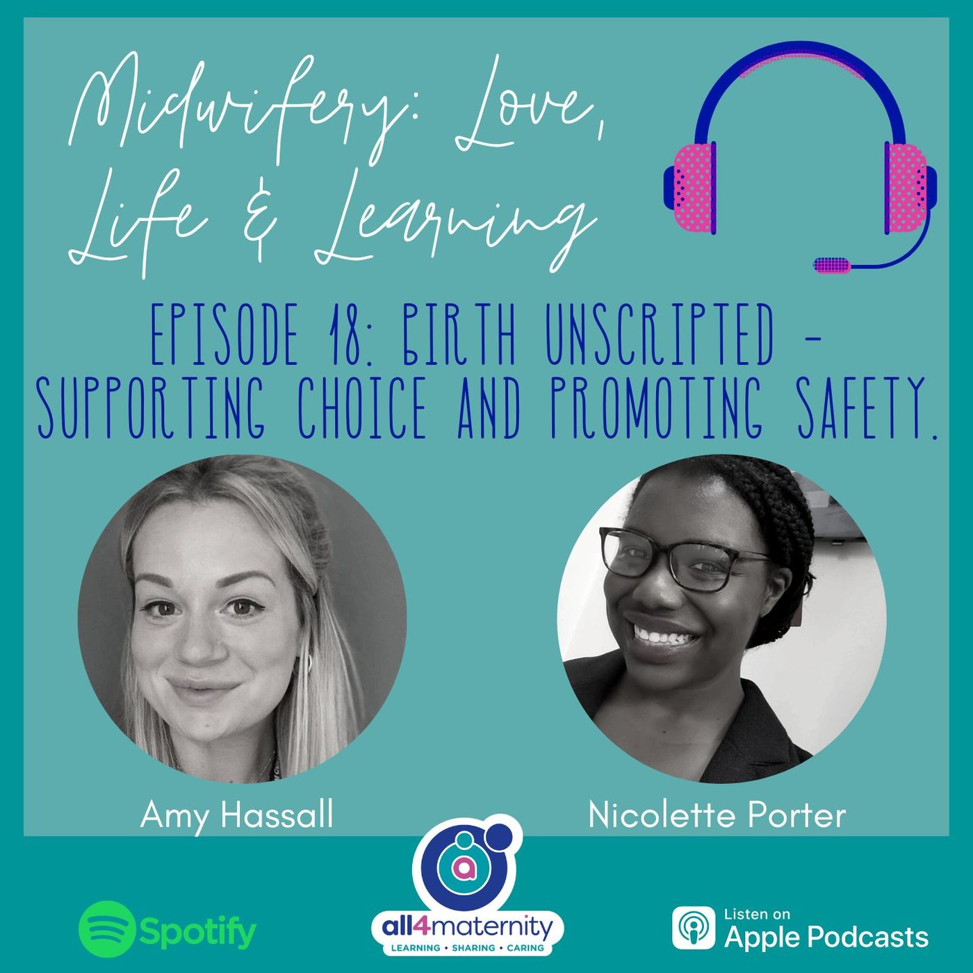 18: Birth Unscripted - Supporting Choice and Promoting Safety