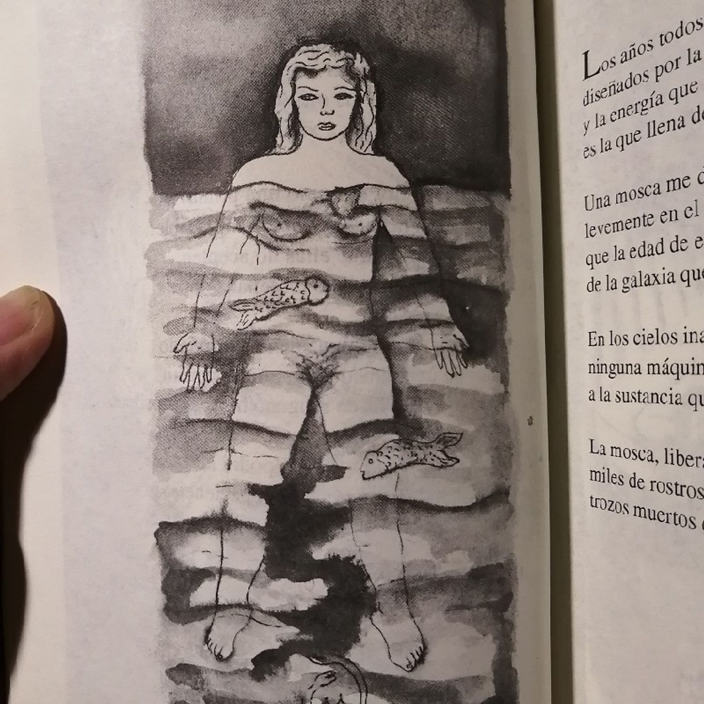 Poesía 📜🎙️👄Afrodita Darqueer