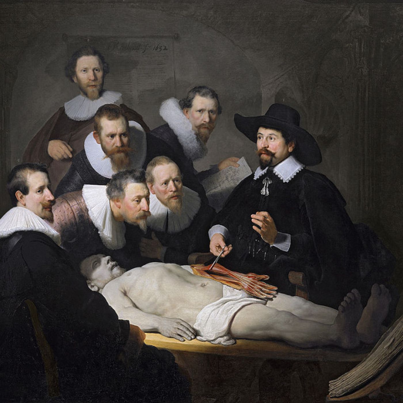Nascita dell'anatomia umana: storia e caratteristiche episode artwork