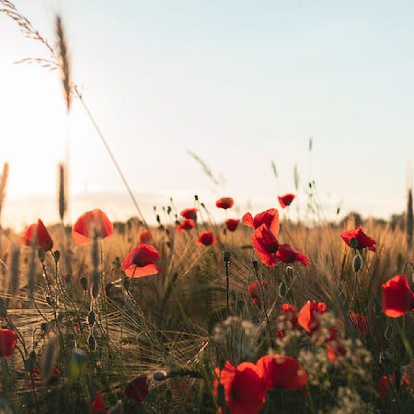 What Does Freedom from the Love of Money Look Like?