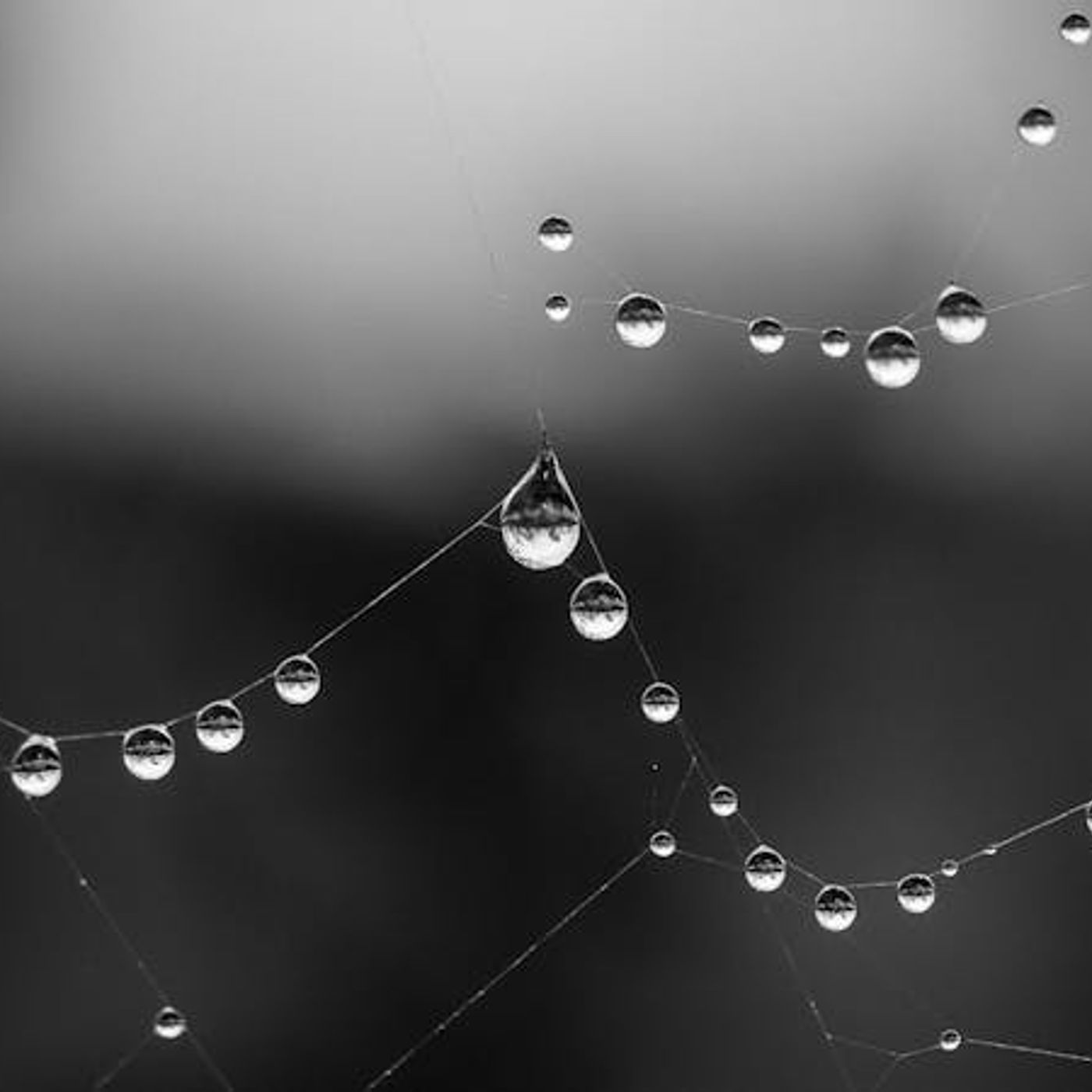 How Do I Respond to Blasphemous Thoughts?